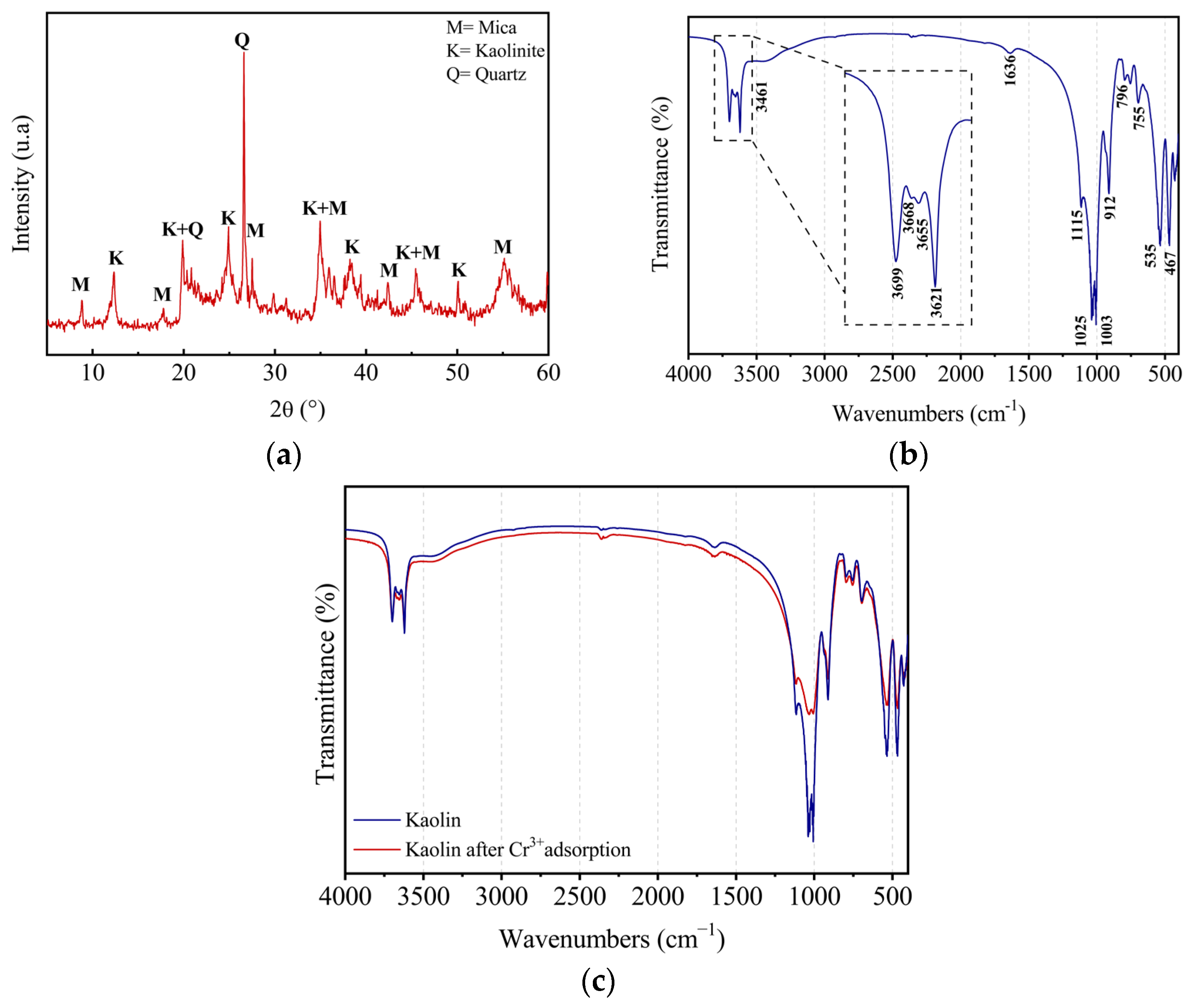 Molecules 29 02135 g001