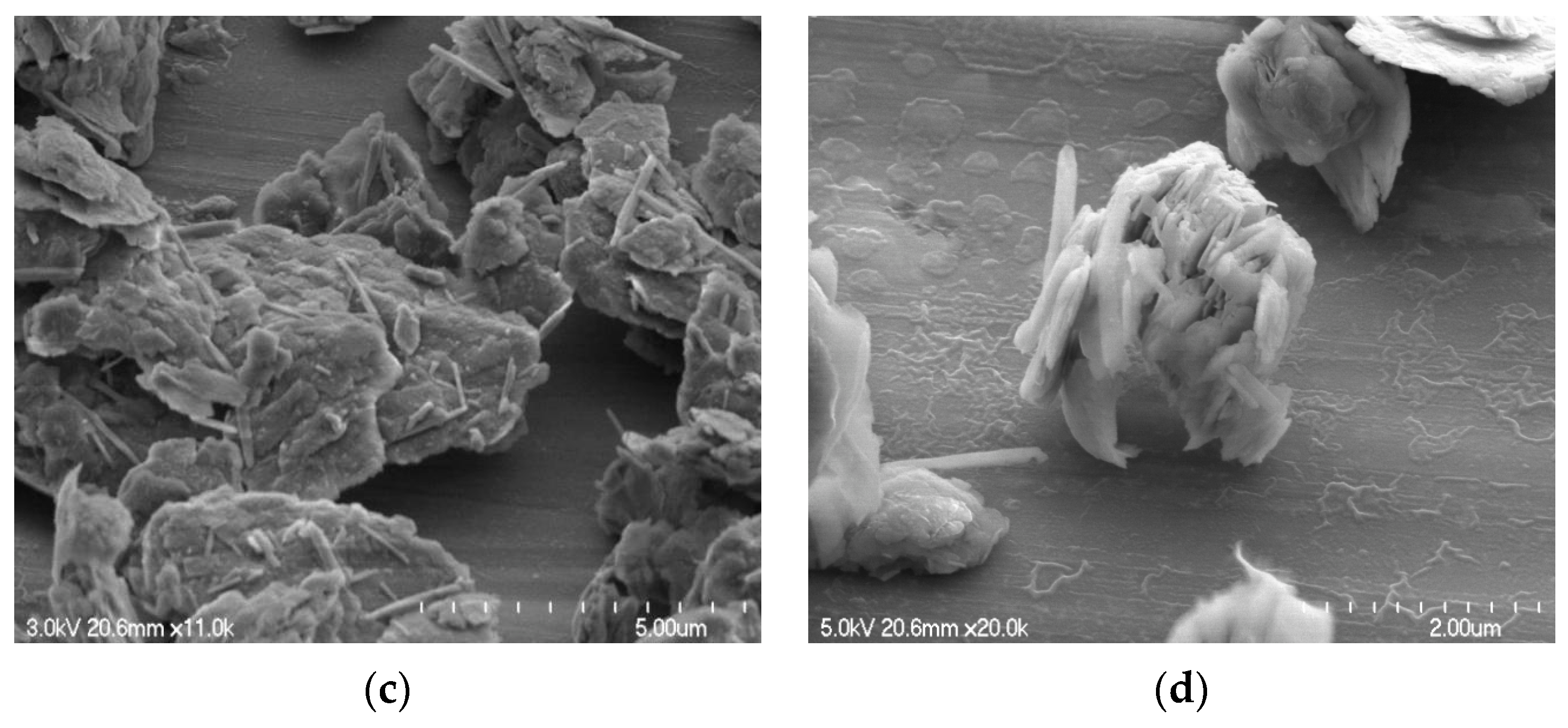 Molecules 29 02135 g002b
