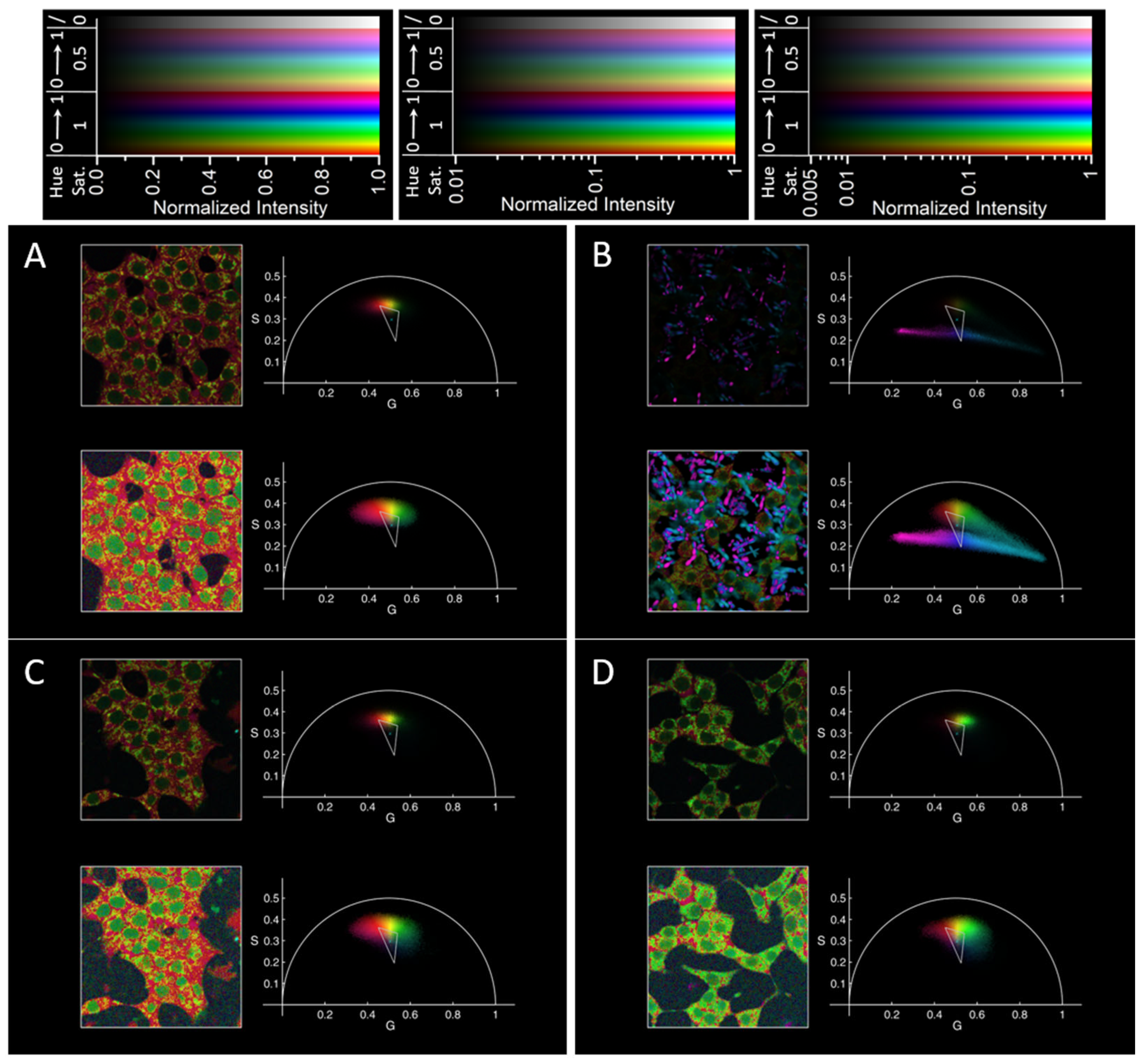 Molecules 29 02137 g004