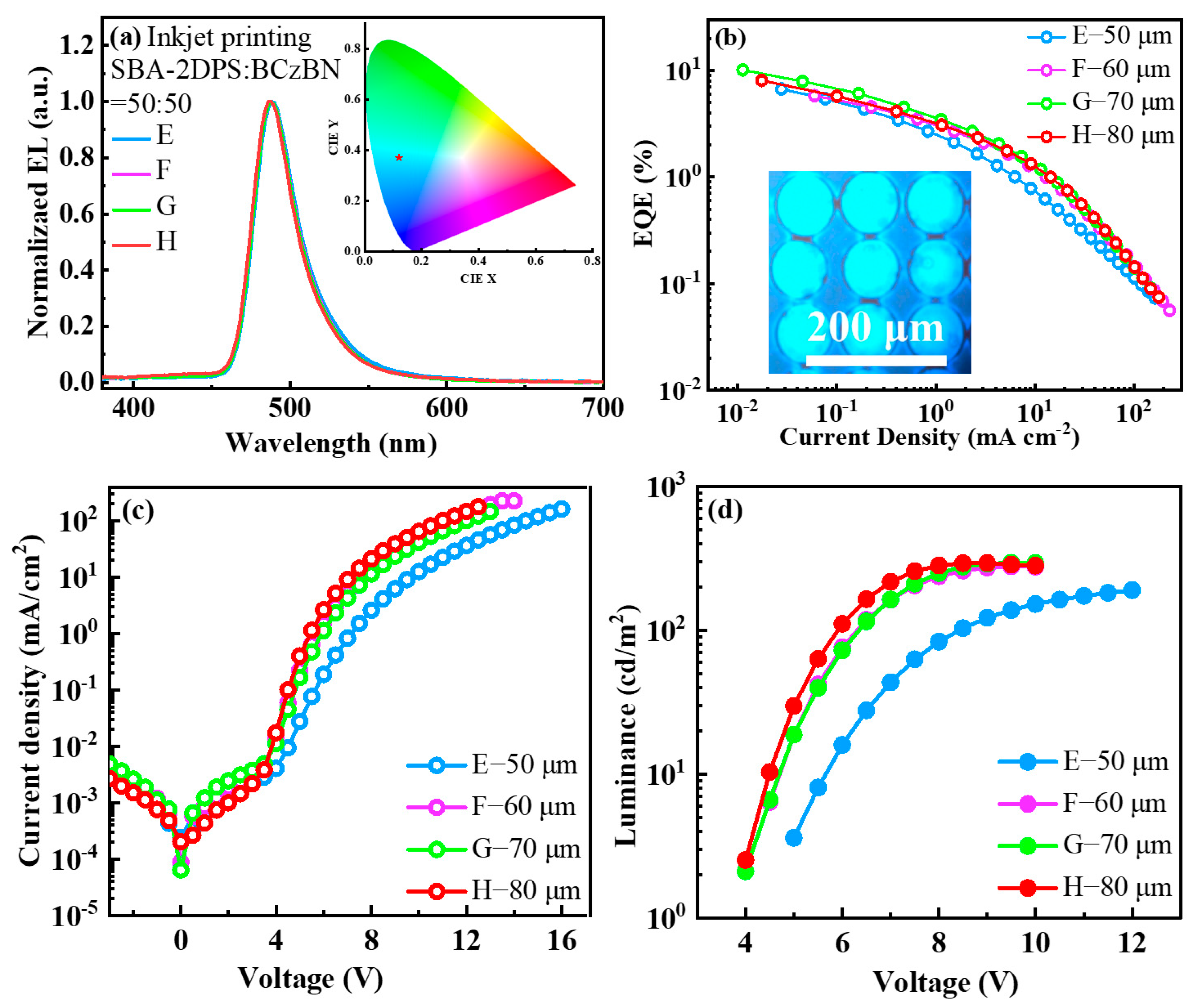 Molecules 29 02147 g005