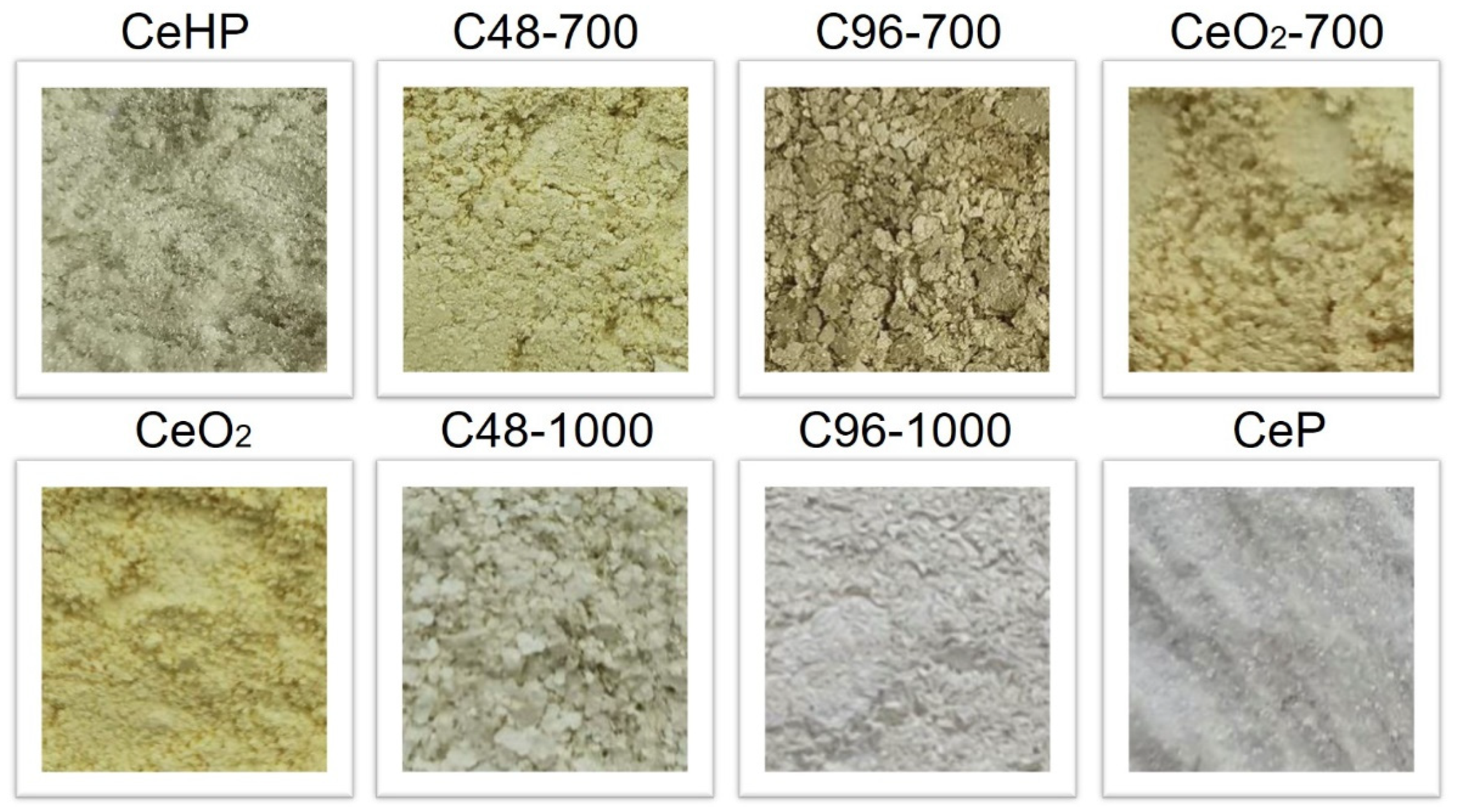 Molecules 29 02157 g002