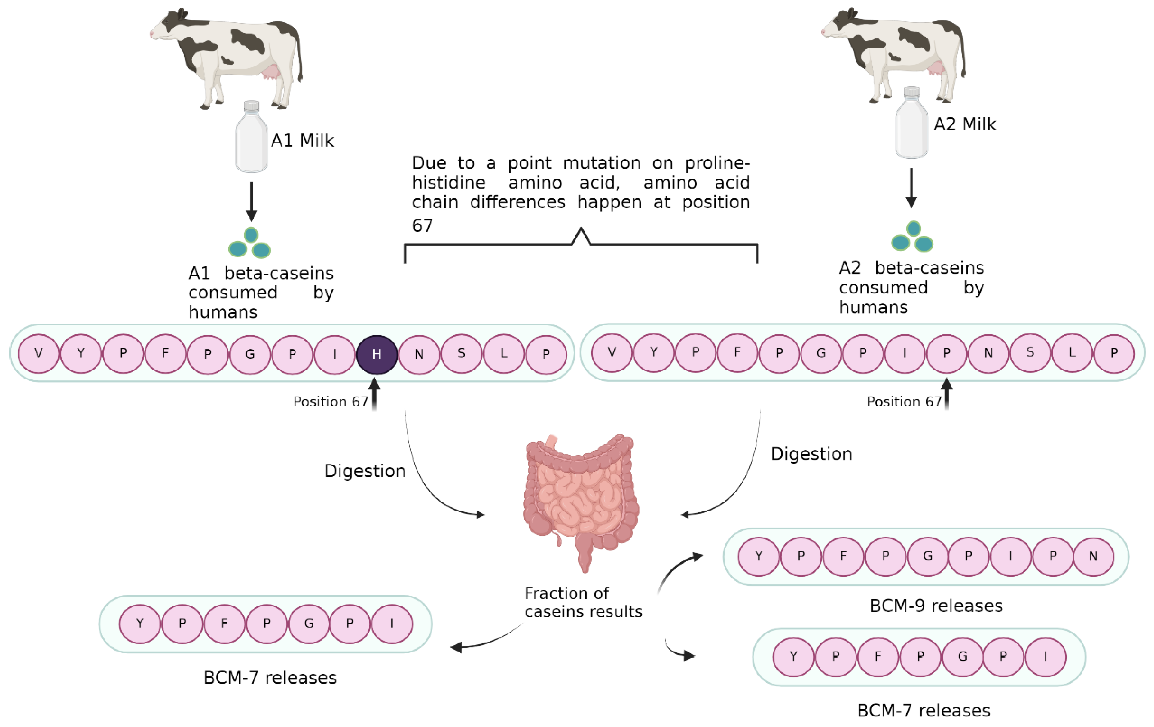 Molecules 29 02161 g001