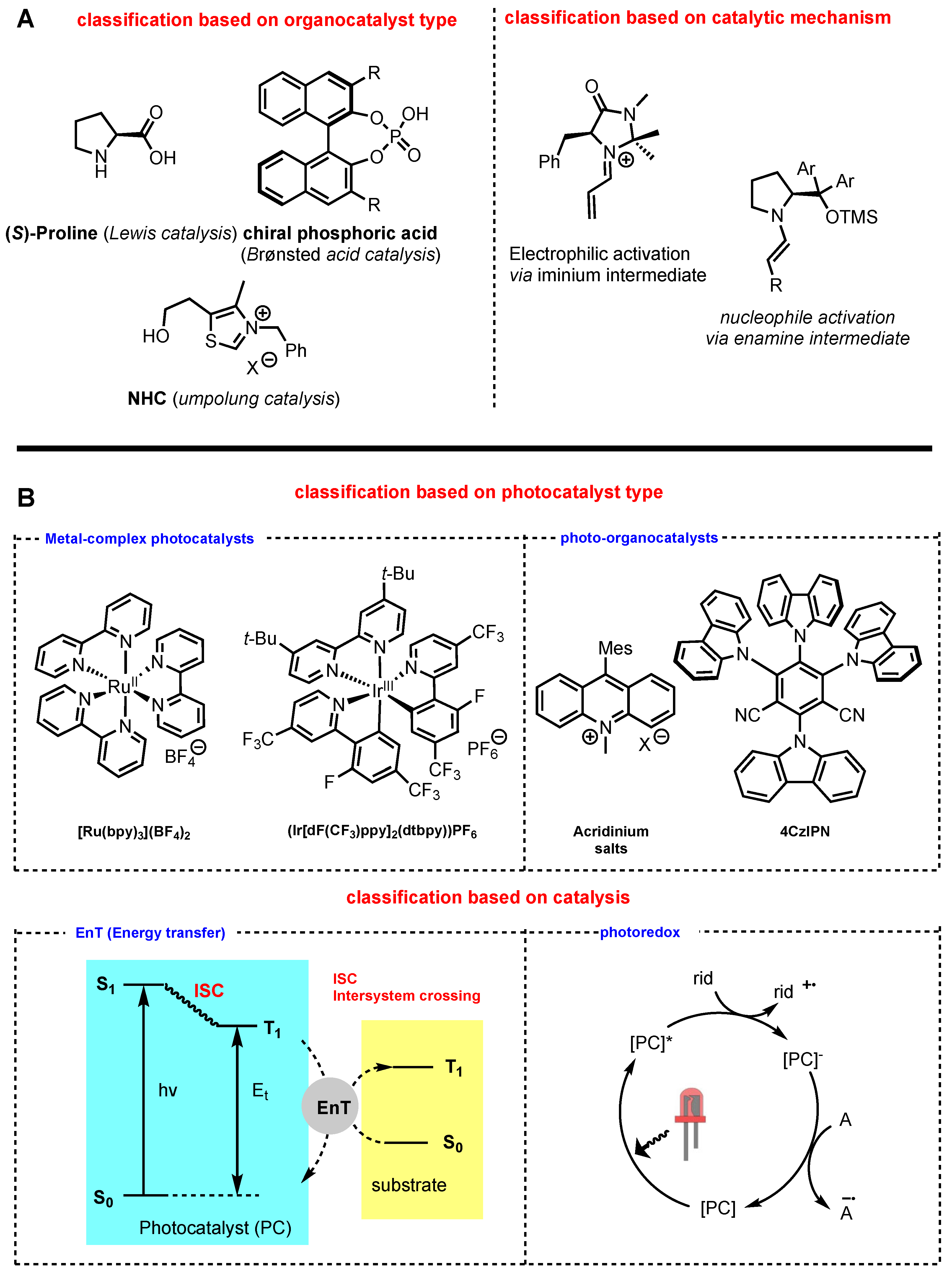 Molecules 29 02166 g001