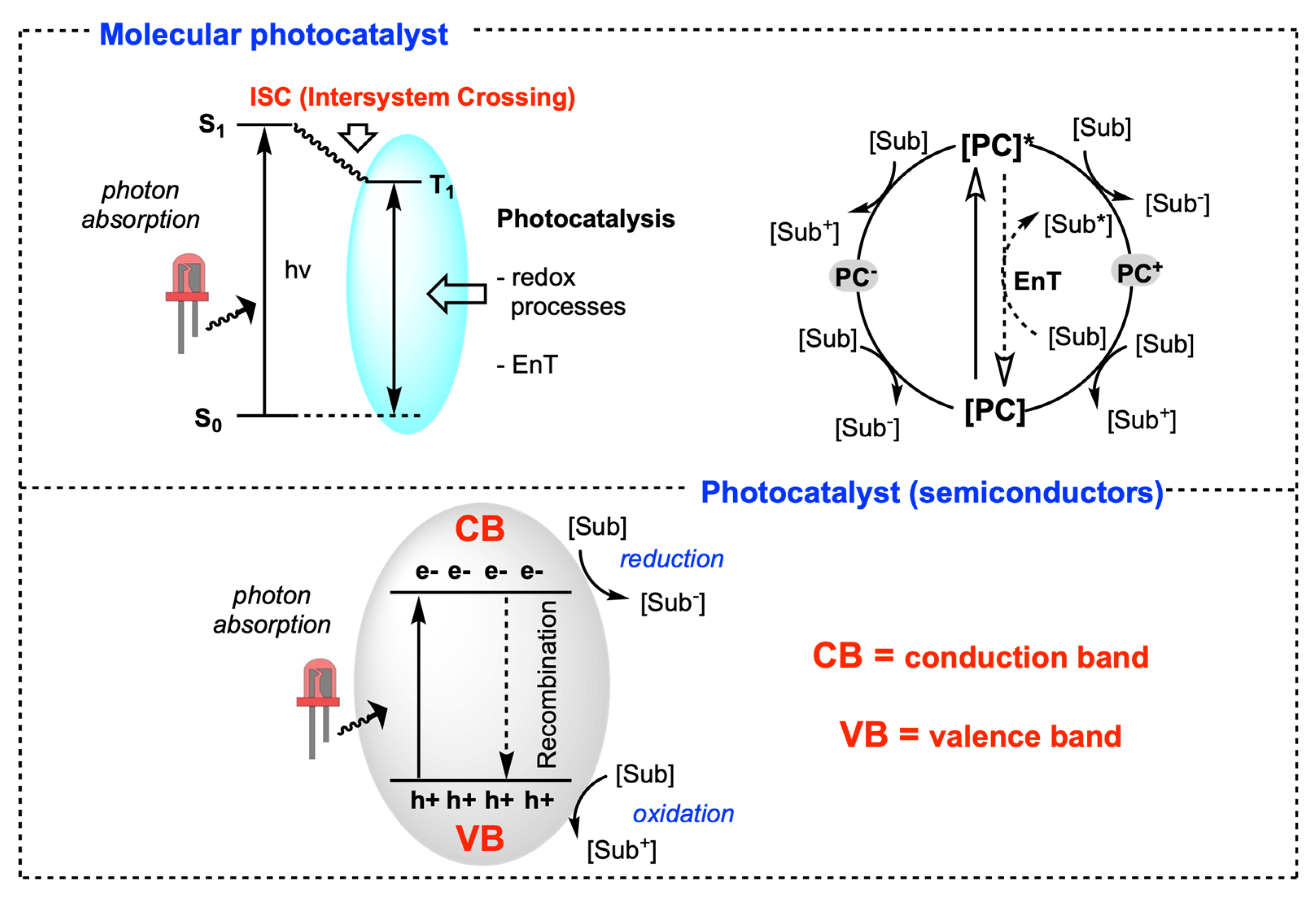 Molecules 29 02166 g002