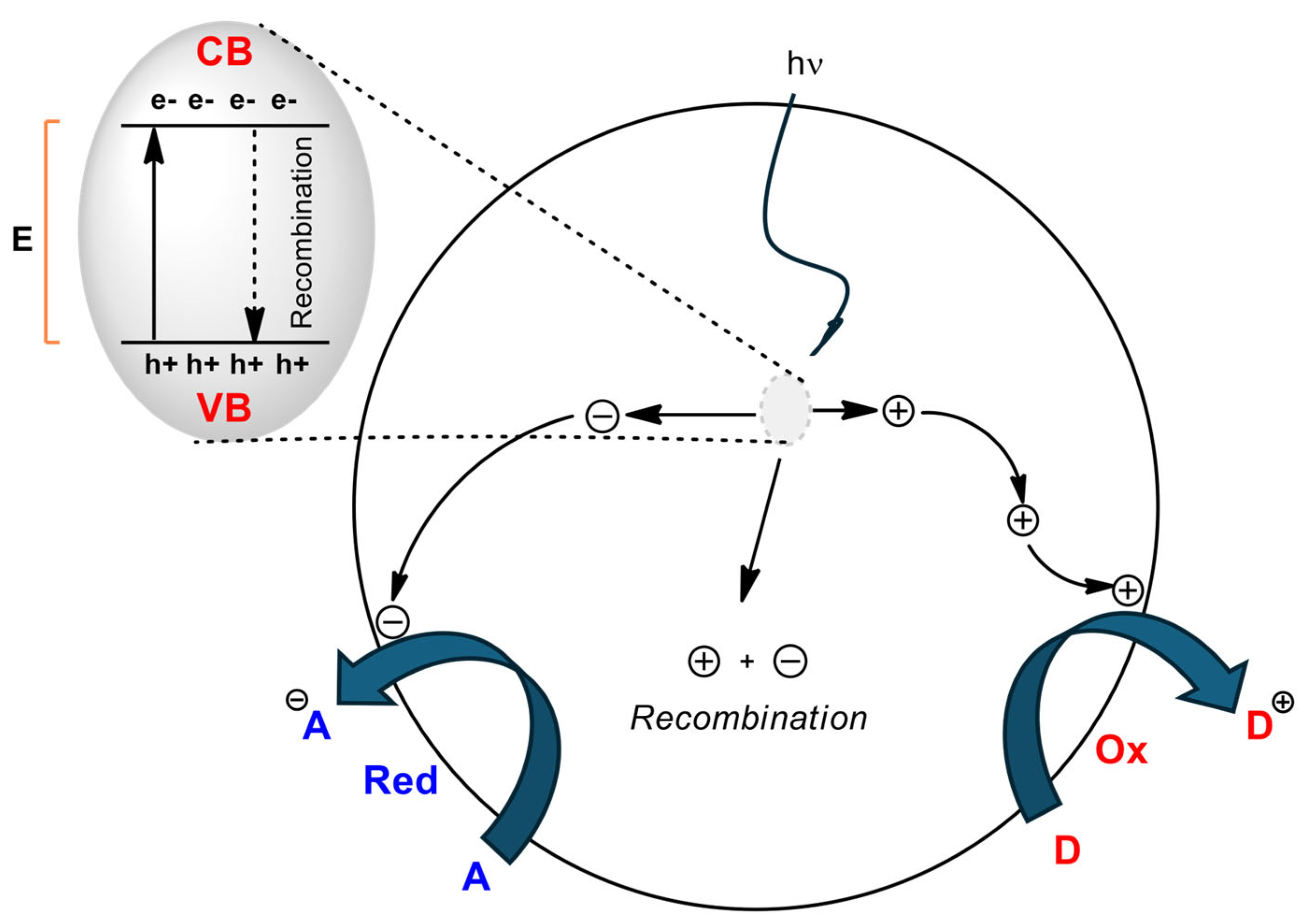 Molecules 29 02166 g004