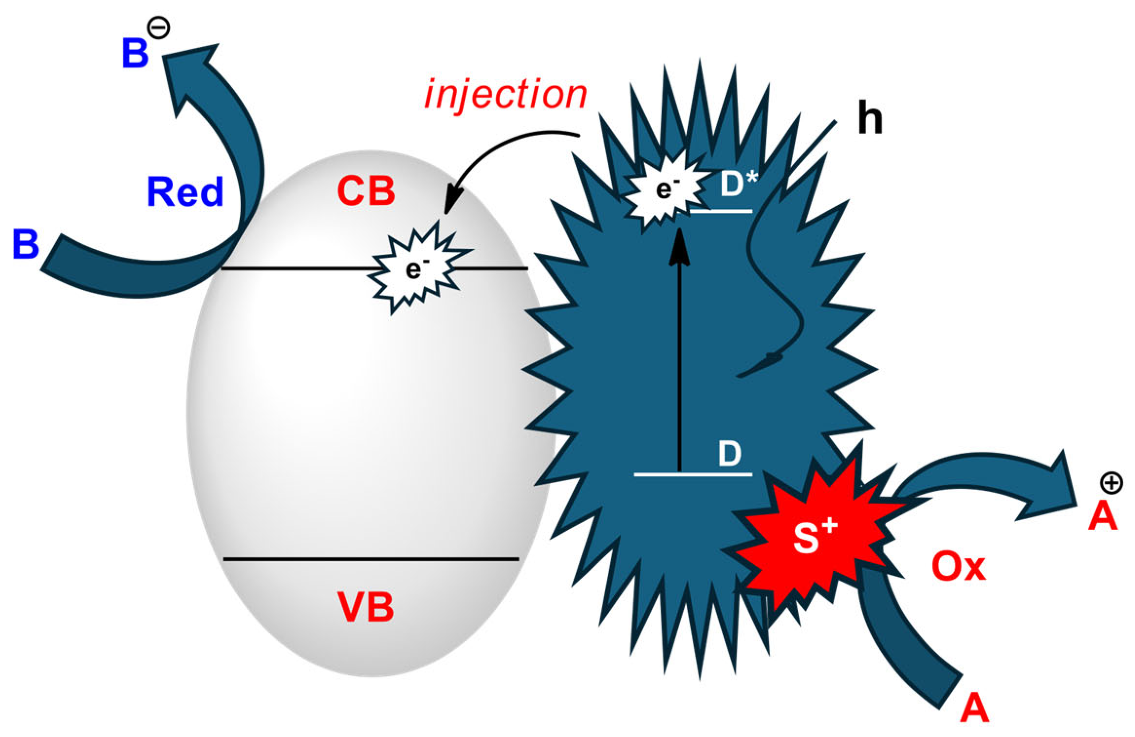 Molecules 29 02166 g005