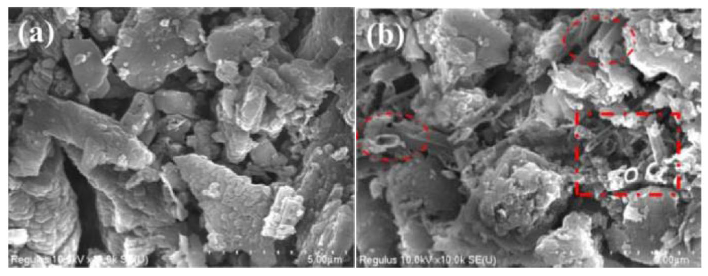Molecules 29 02166 g013