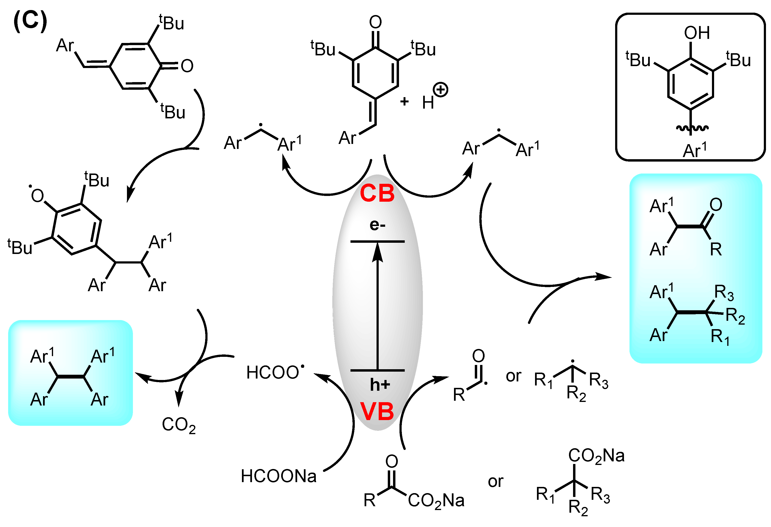 Molecules 29 02166 g015b
