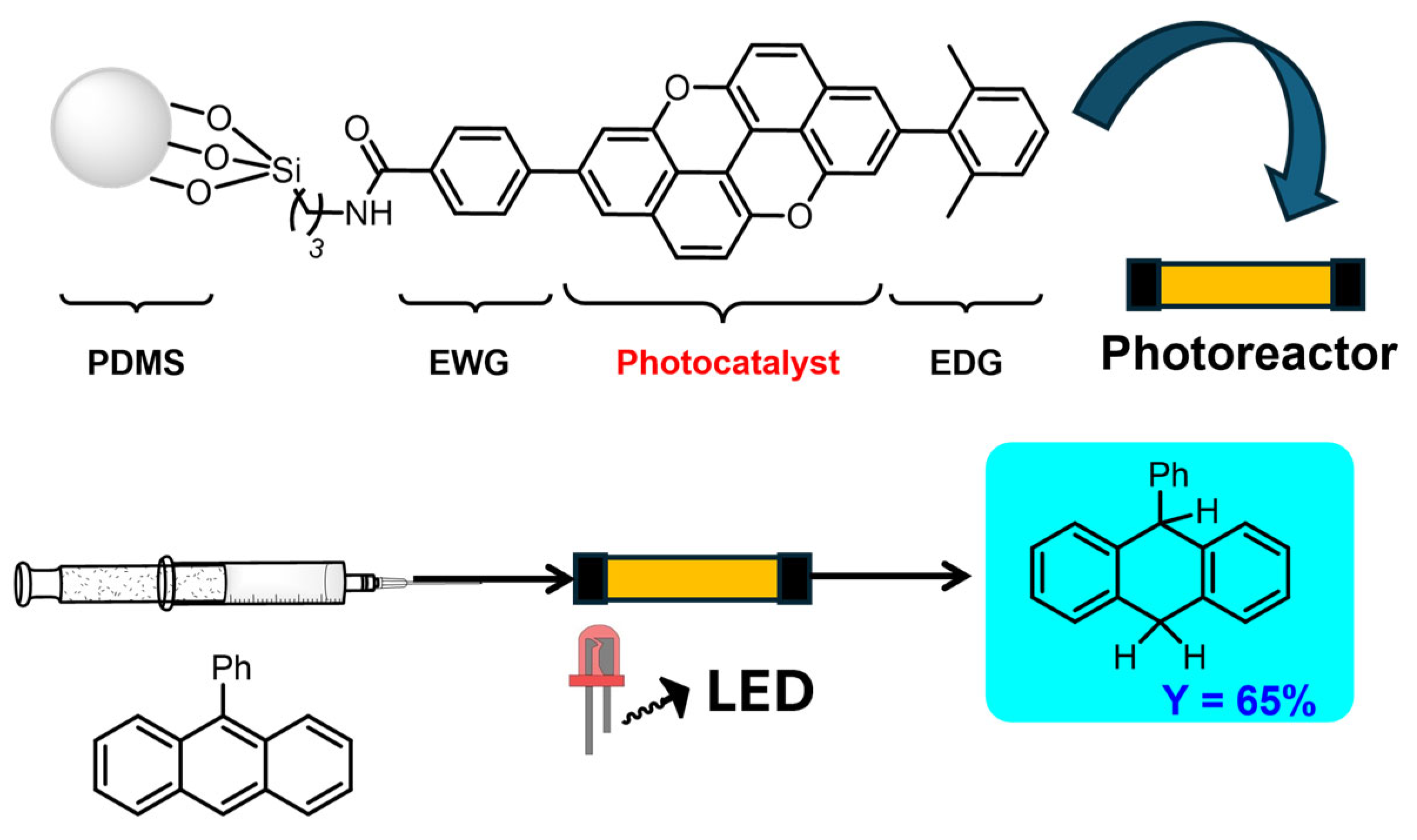 Molecules 29 02166 g024