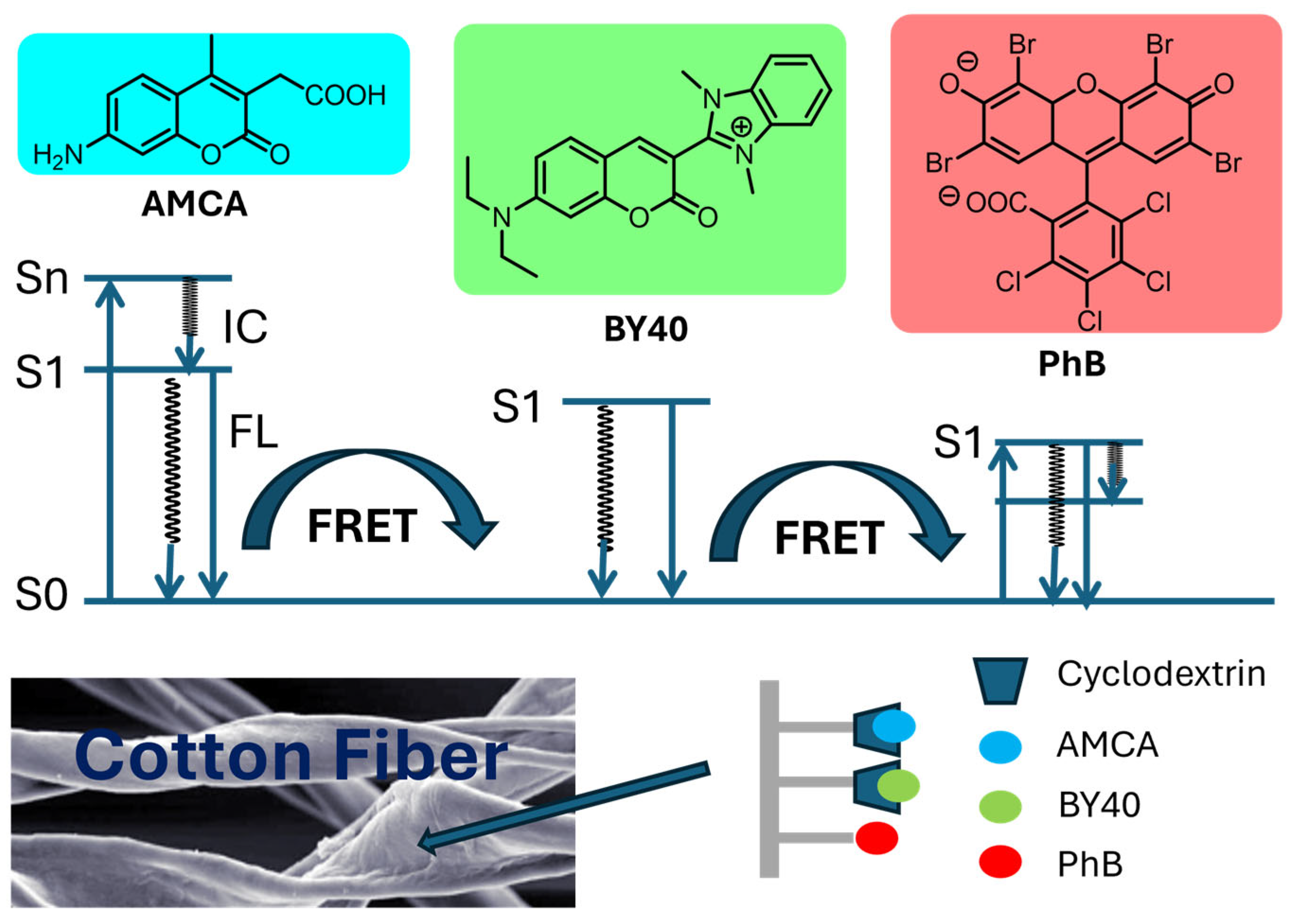Molecules 29 02166 g026