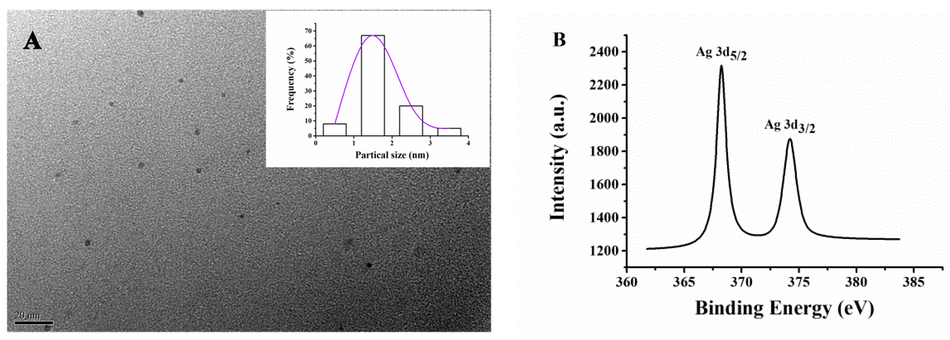 Molecules 29 02167 g002