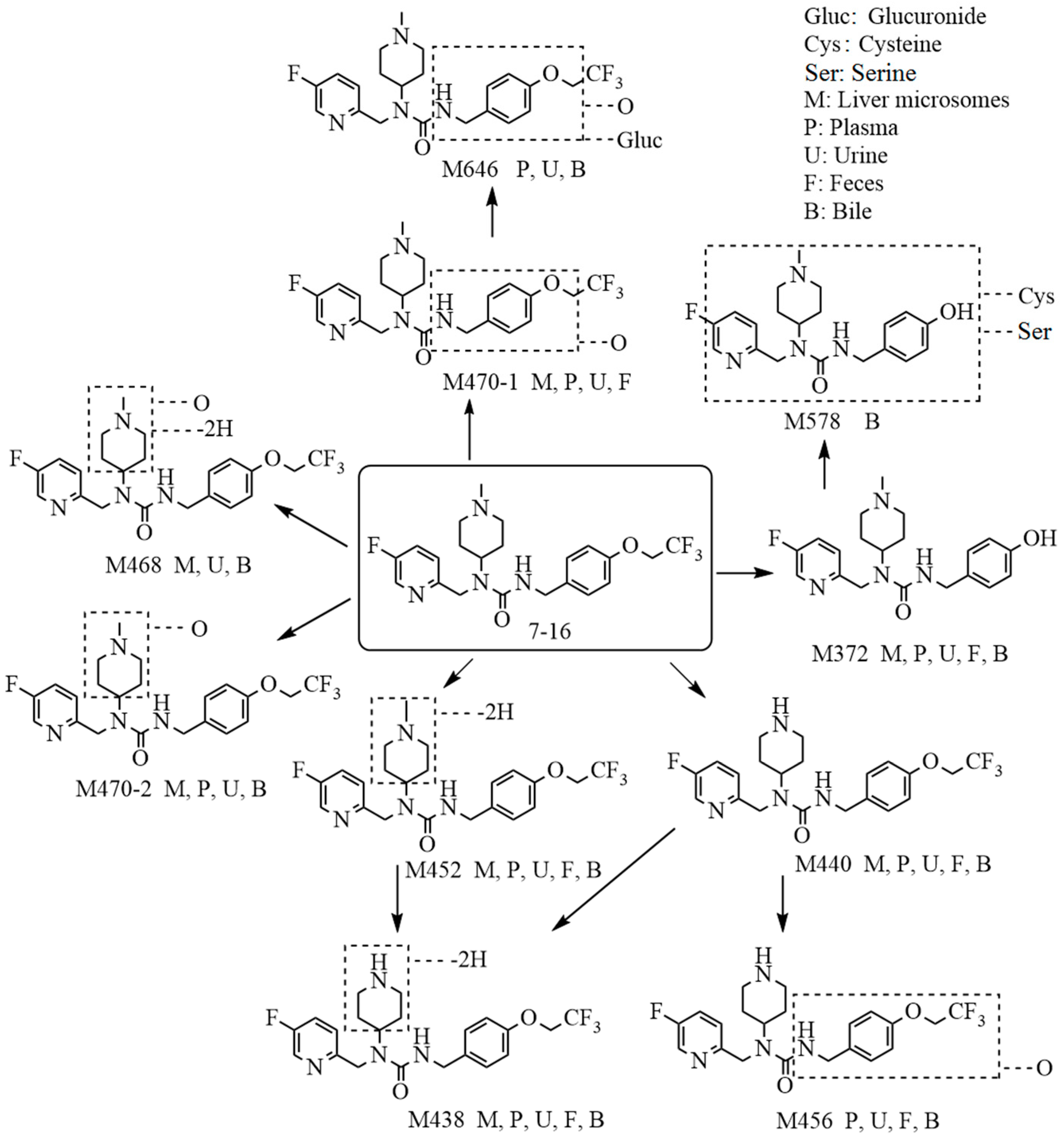 Molecules 29 02184 g003