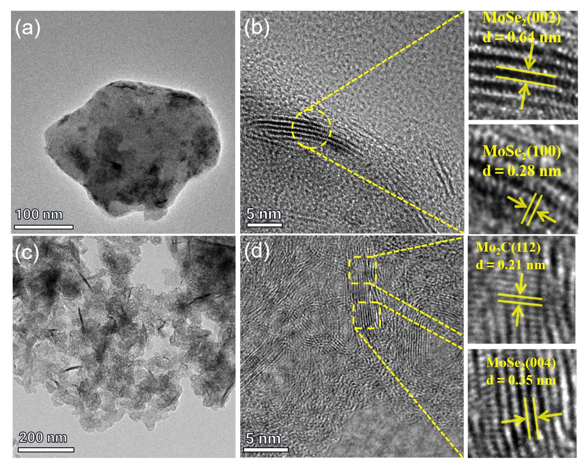 Molecules 29 02186 g002