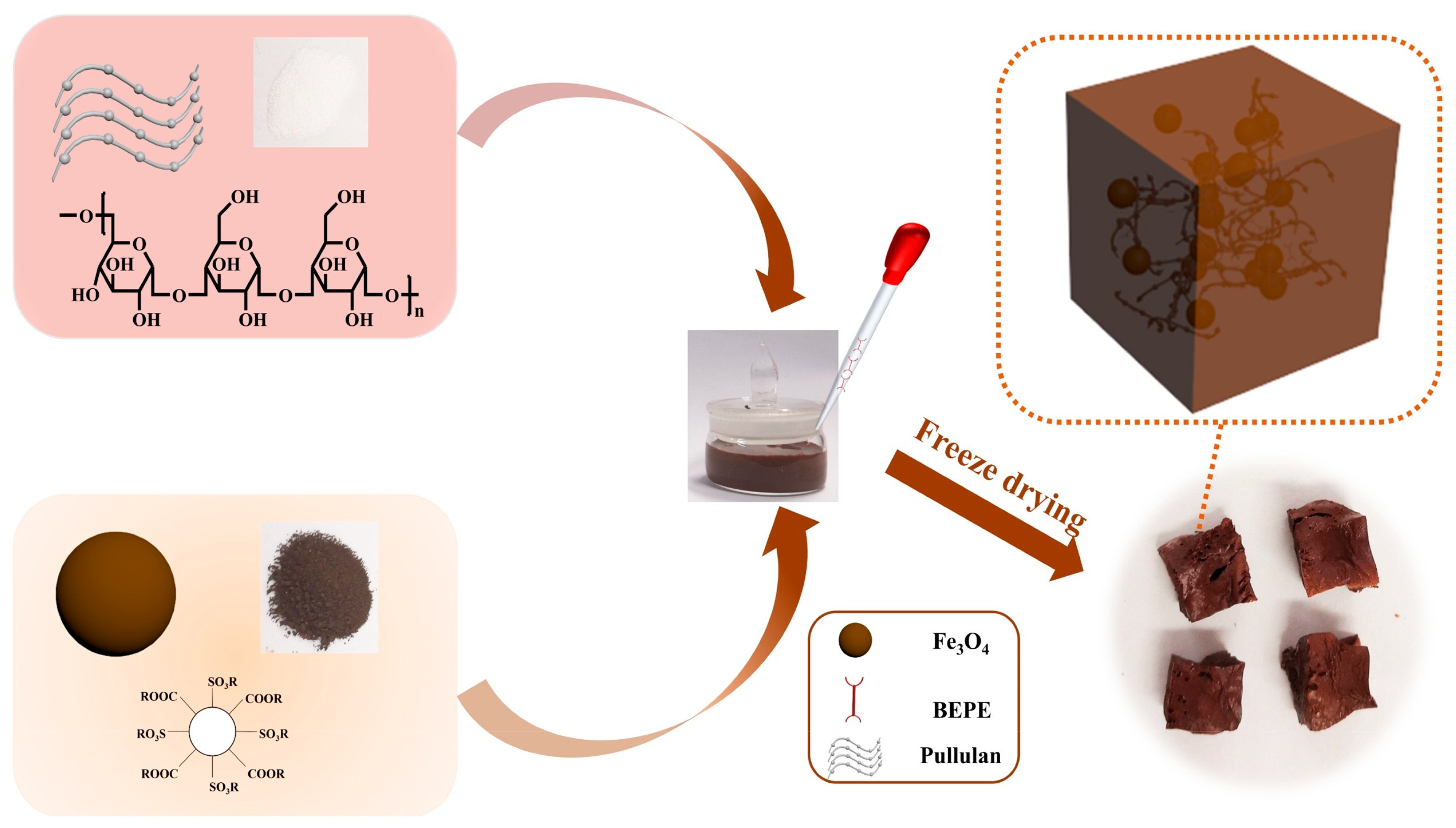 Molecules 29 02188 g003