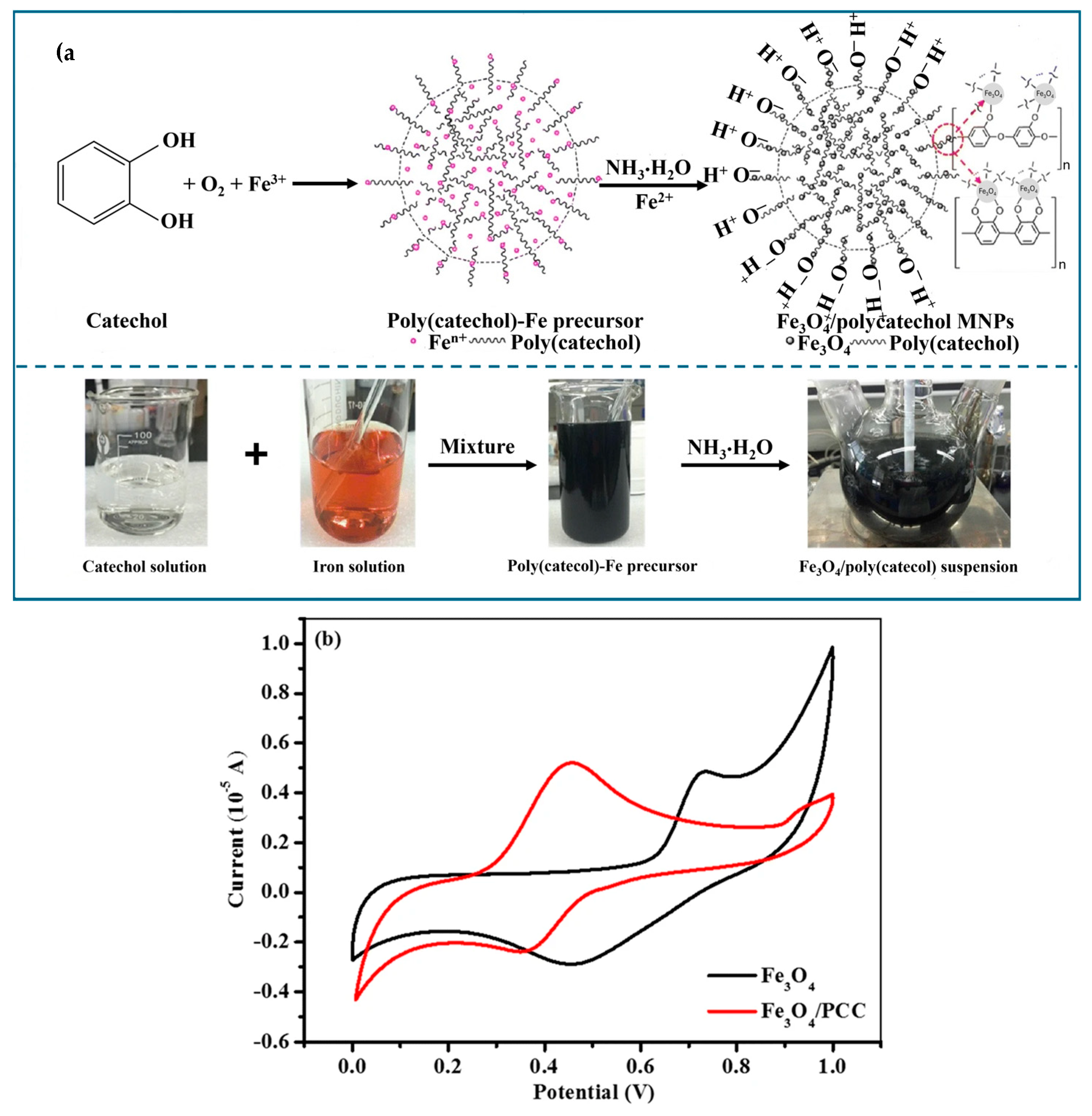 Molecules 29 02188 g004