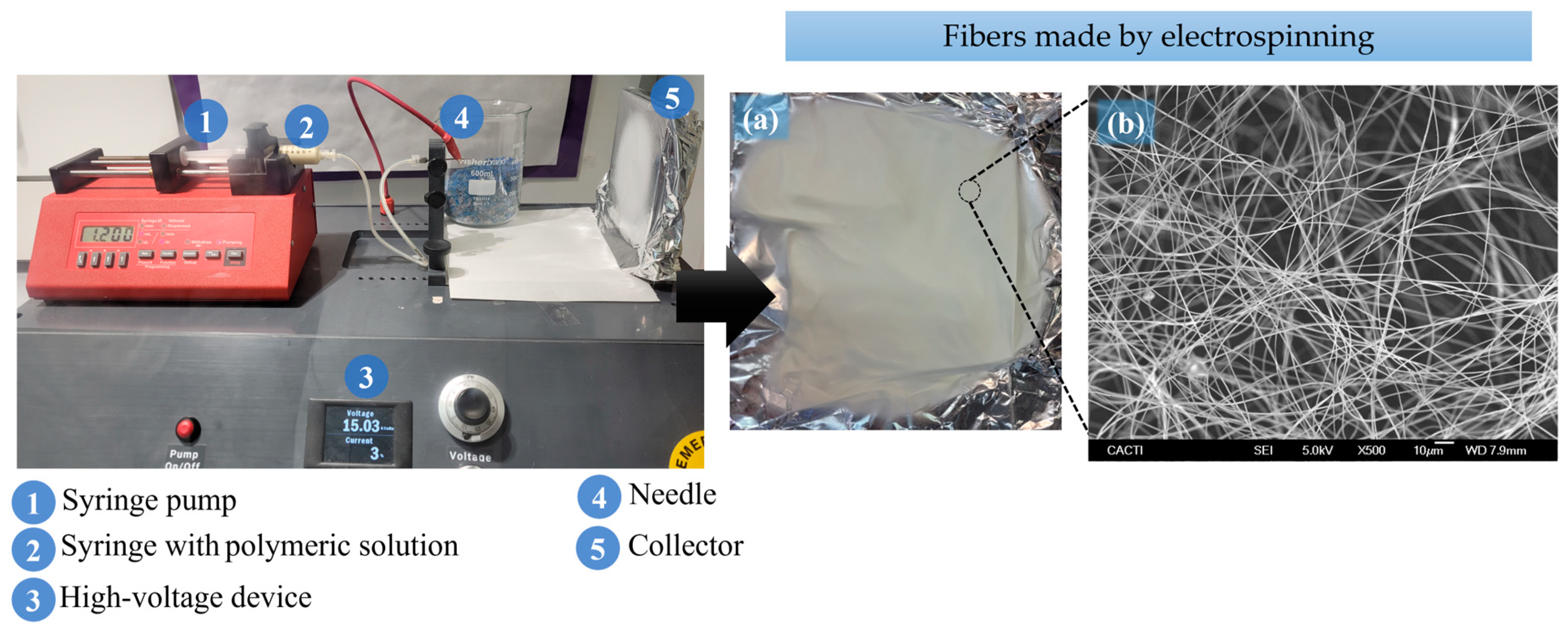 Molecules 29 02188 g007