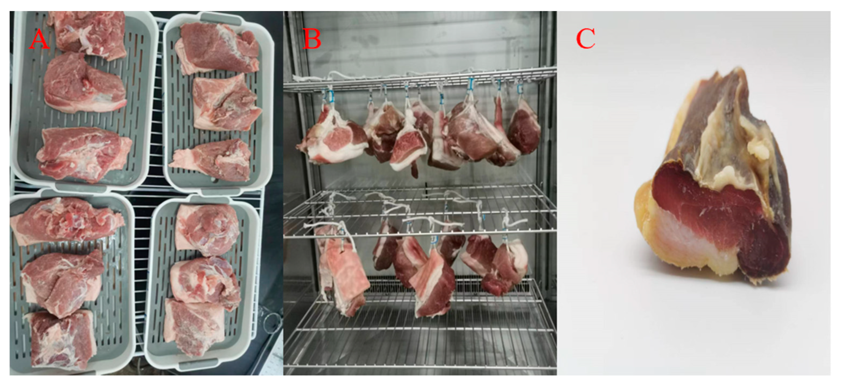 Molecules 29 02194 g008