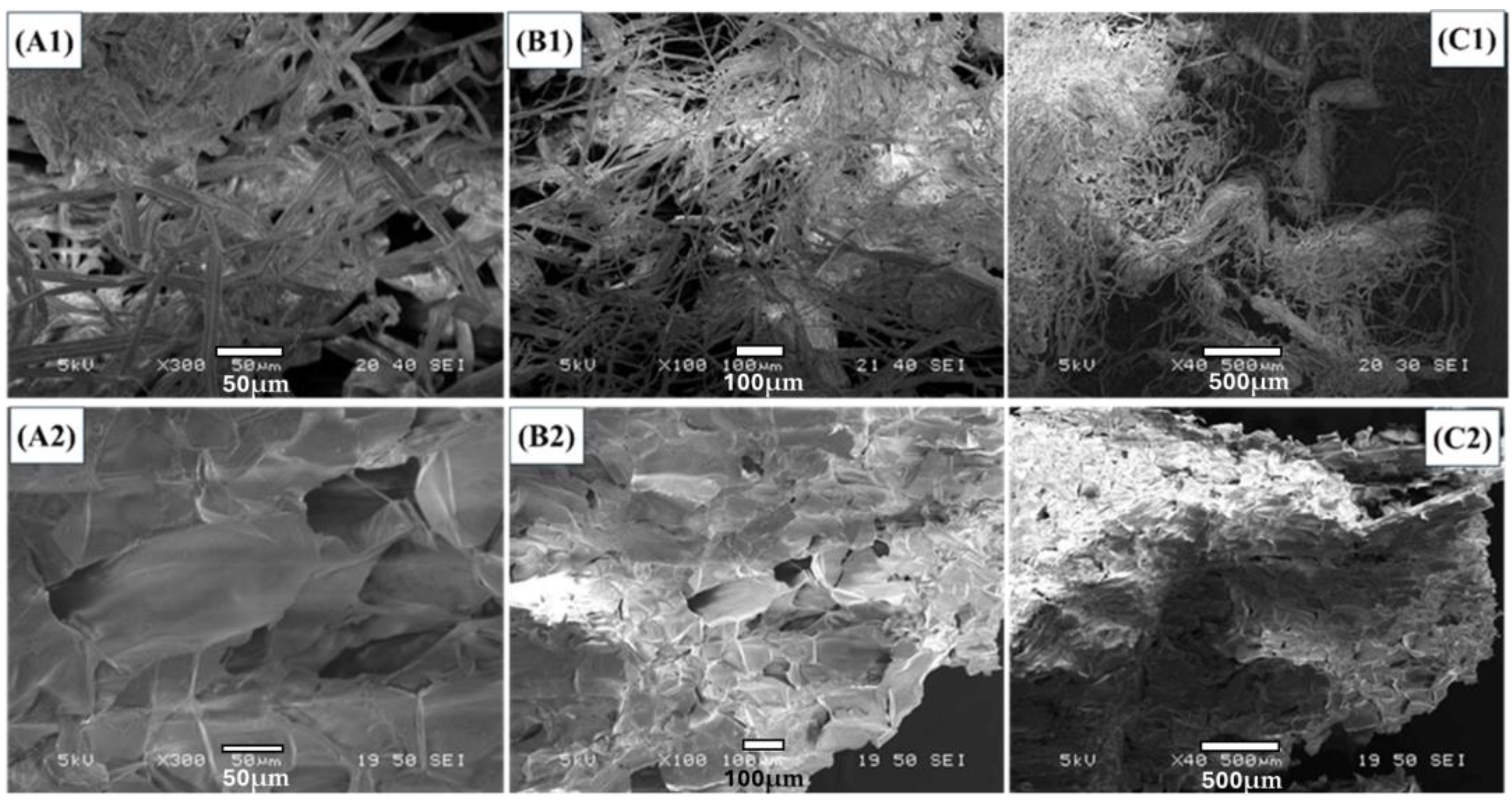 Molecules 29 02207 g001