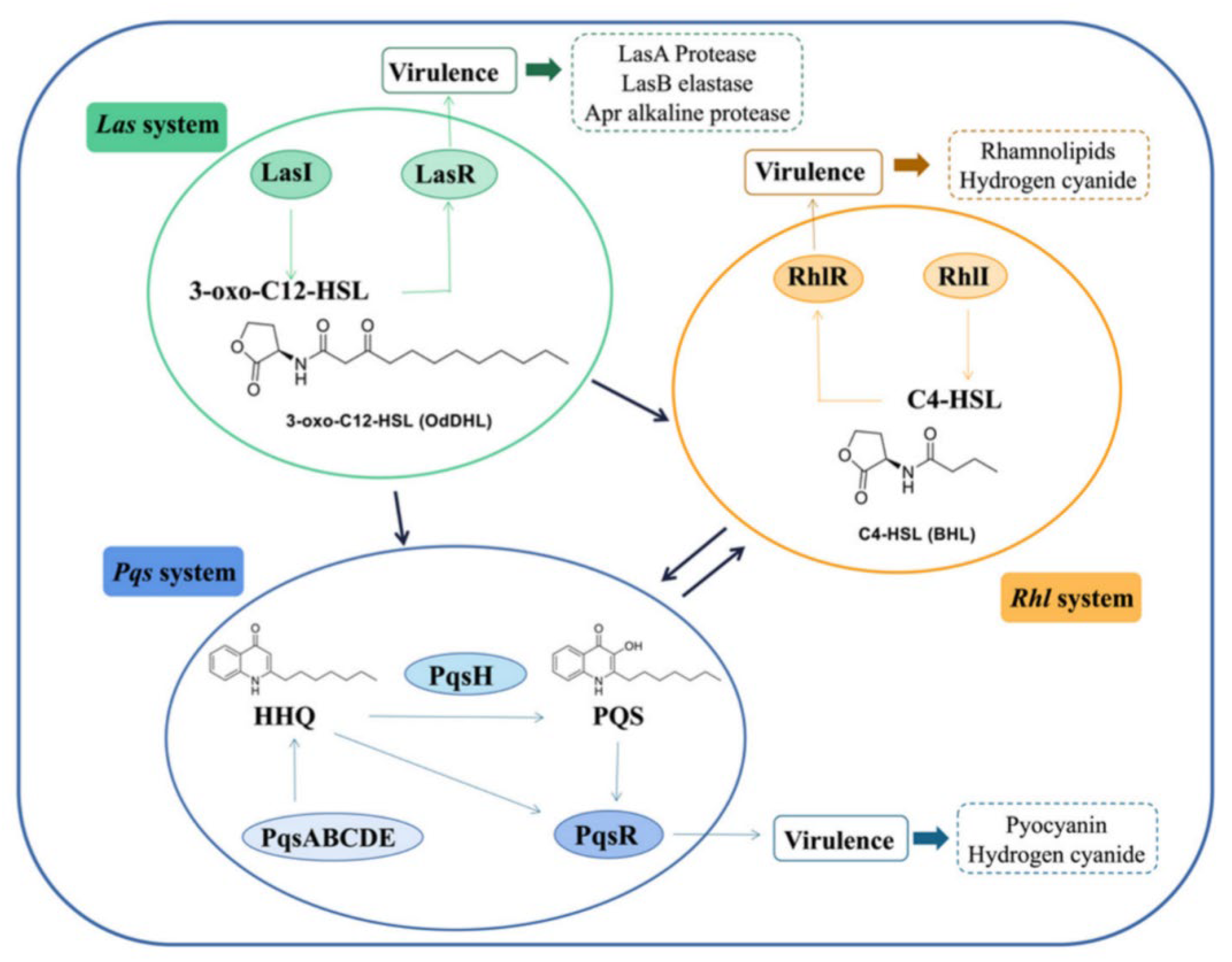 Molecules 29 02211 g001