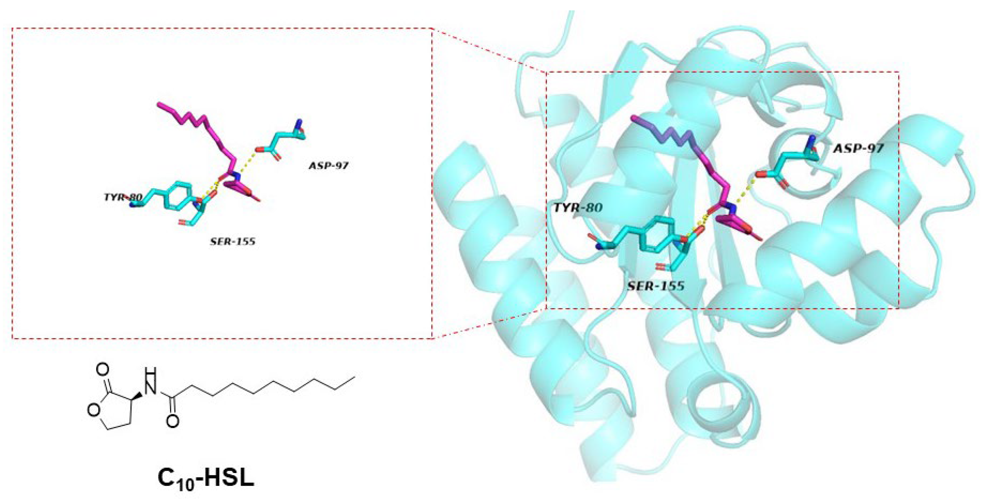 Molecules 29 02211 g003