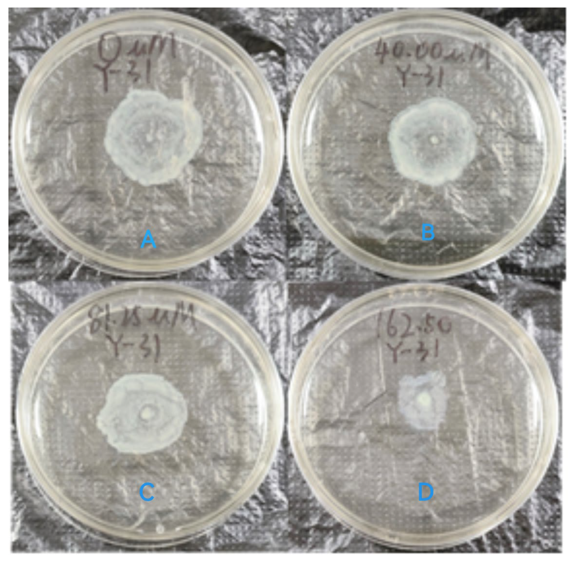 Molecules 29 02211 g009