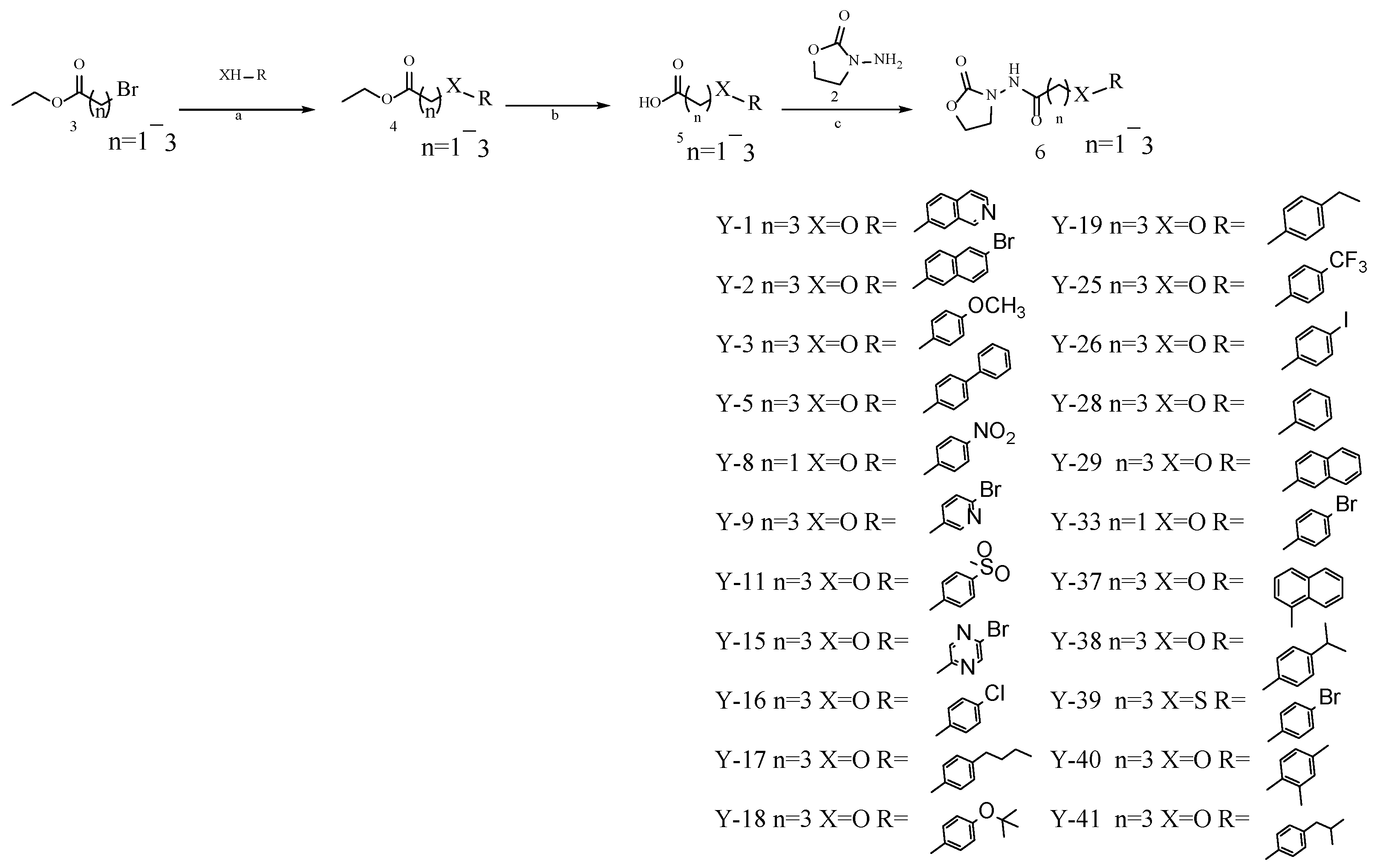 Molecules 29 02211 sch002