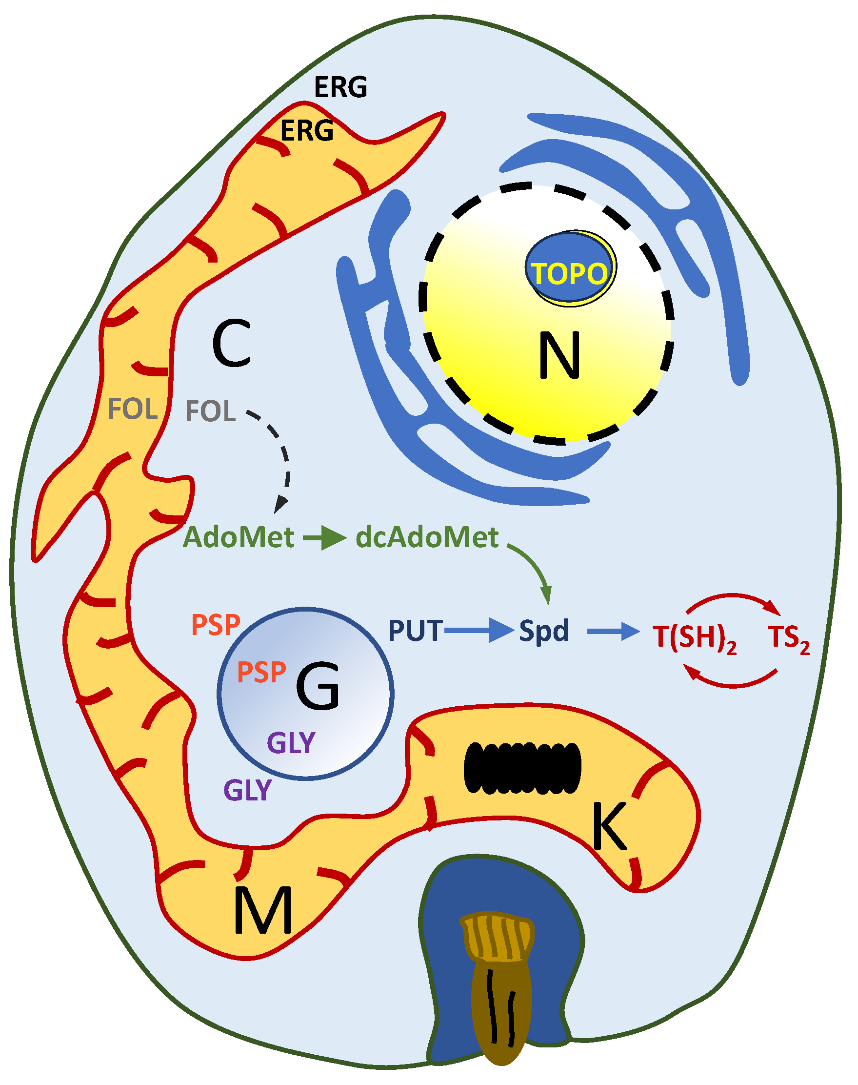 Molecules 29 02214 g001 Molecules 29 02214 g001