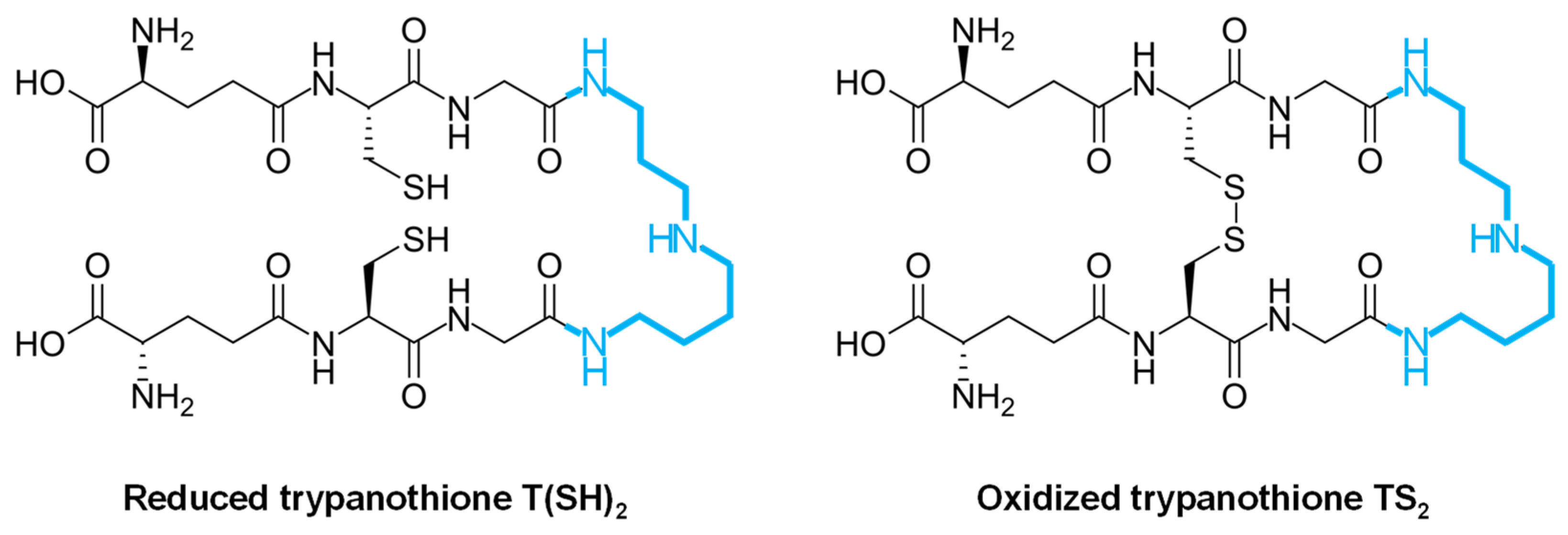 Molecules 29 02214 g002 Molecules 29 02214 g002