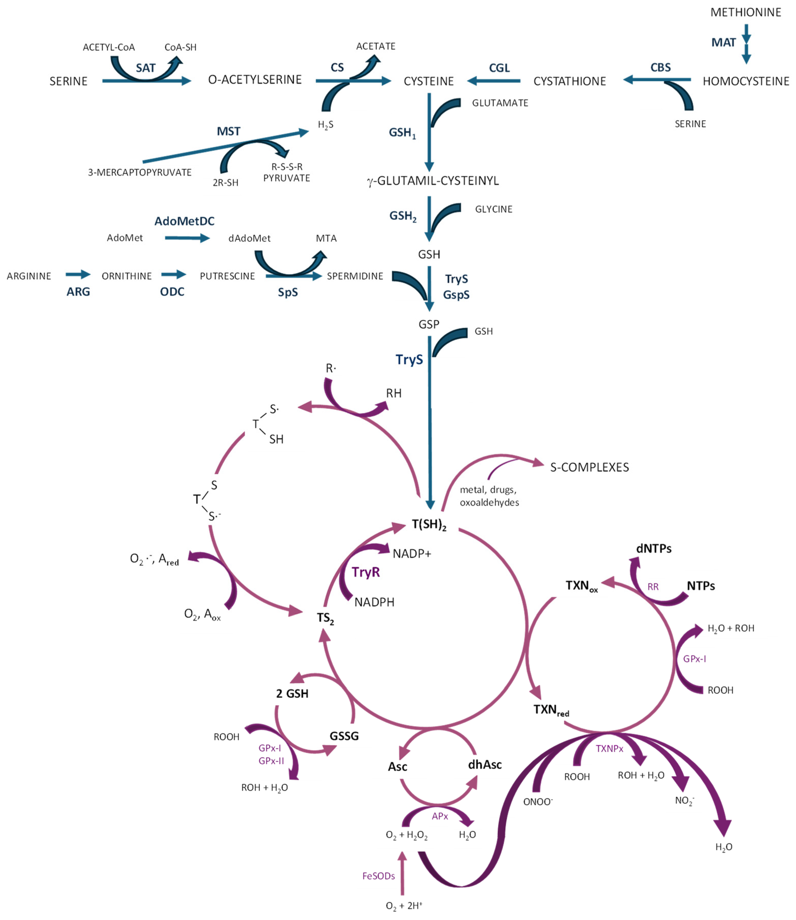 Molecules 29 02214 g003 Molecules 29 02214 g003