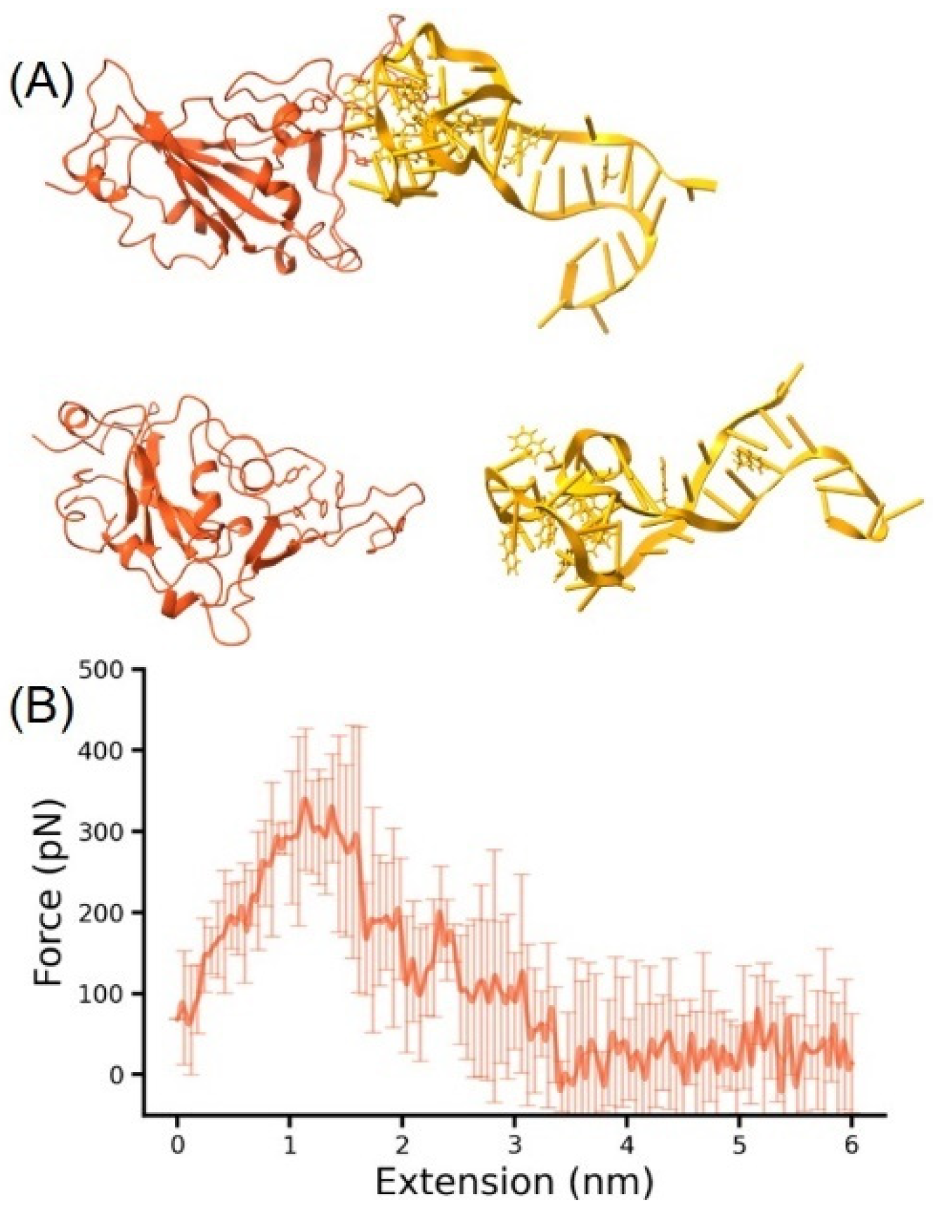 Molecules 29 02215 g004