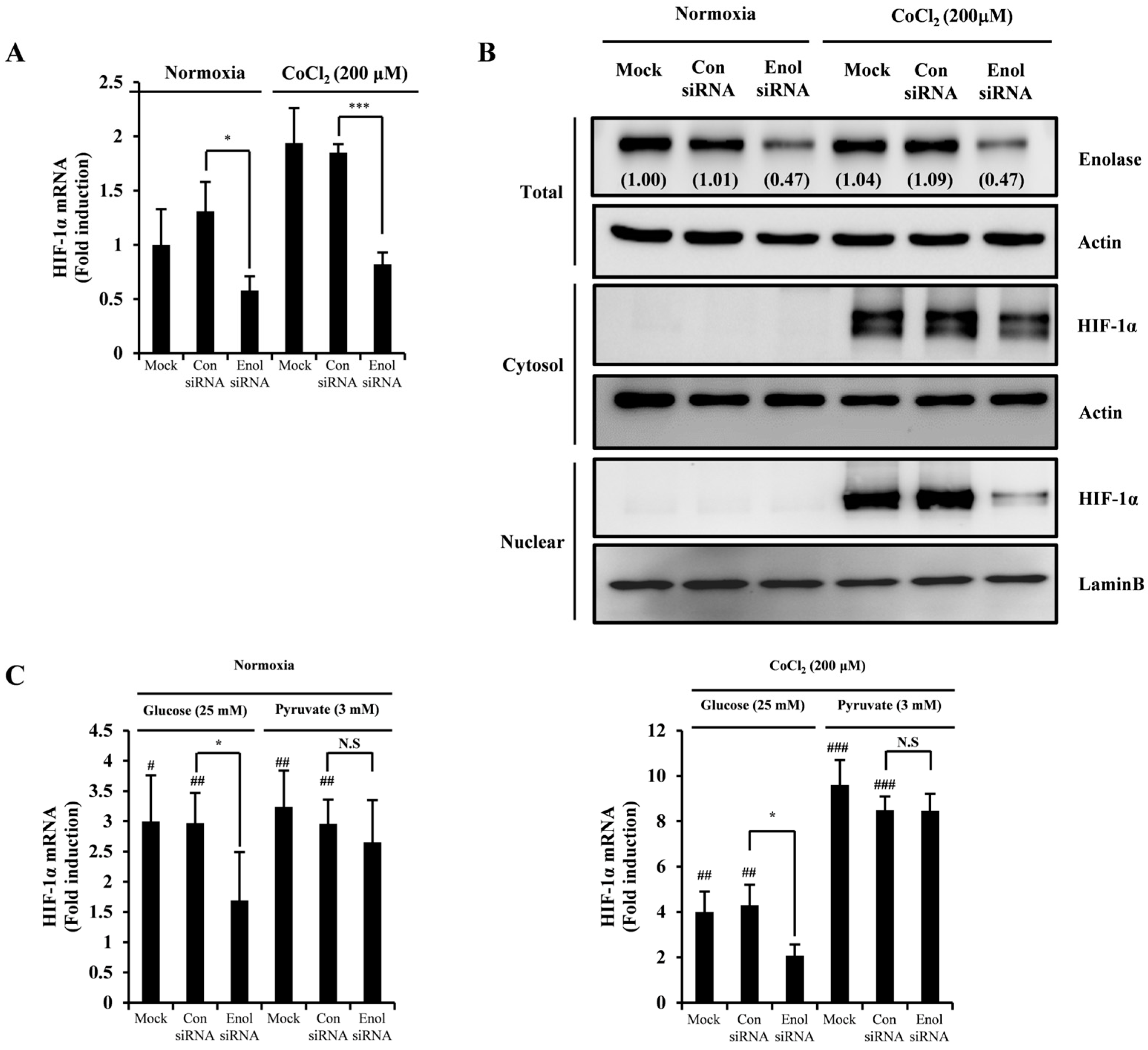 Molecules 29 02218 g004a