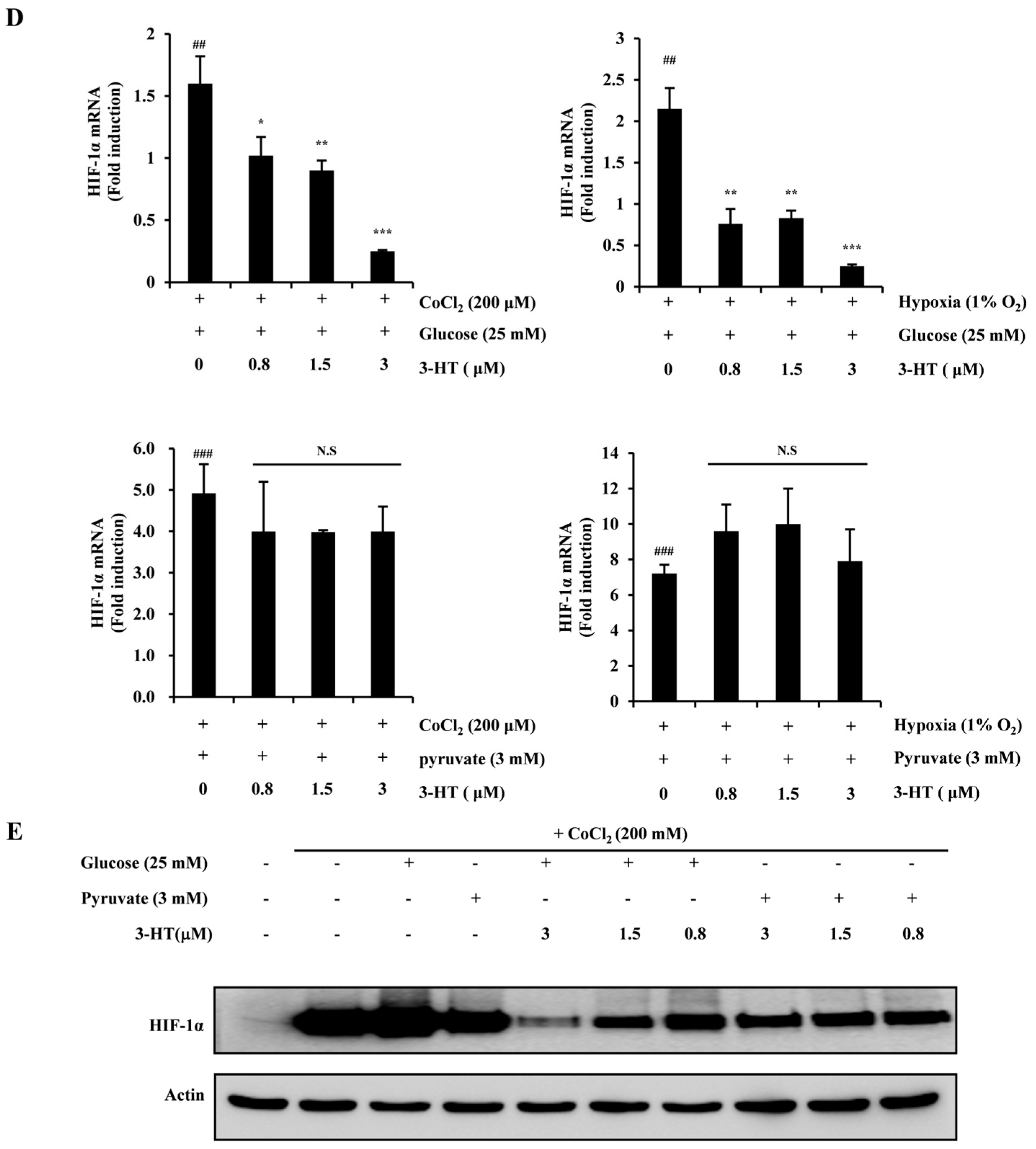 Molecules 29 02218 g004b