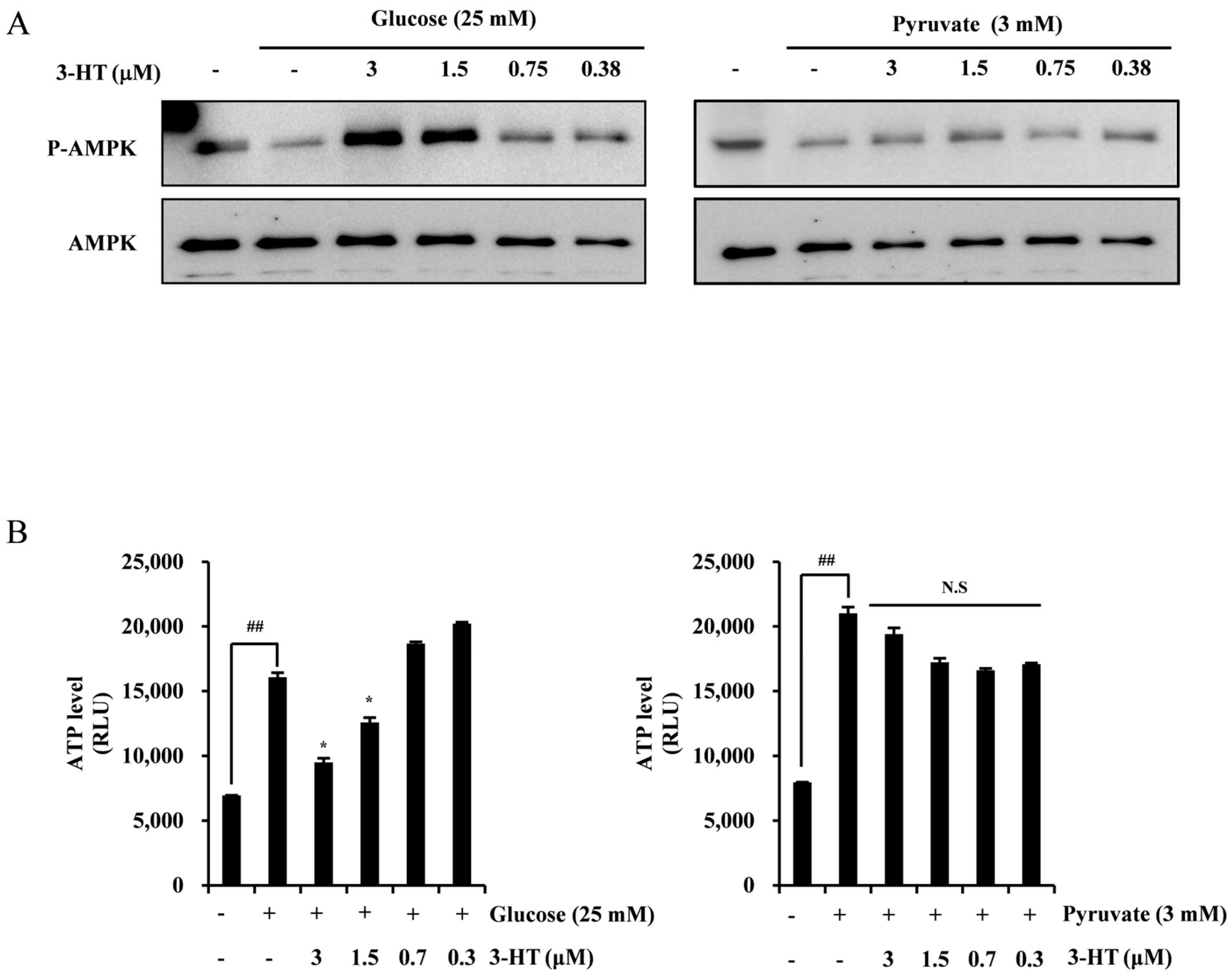 Molecules 29 02218 g005