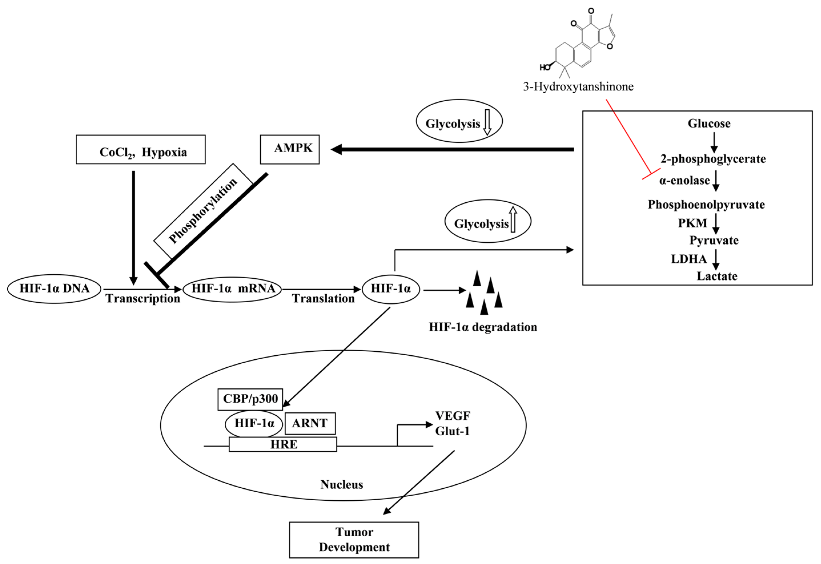 Molecules 29 02218 g006