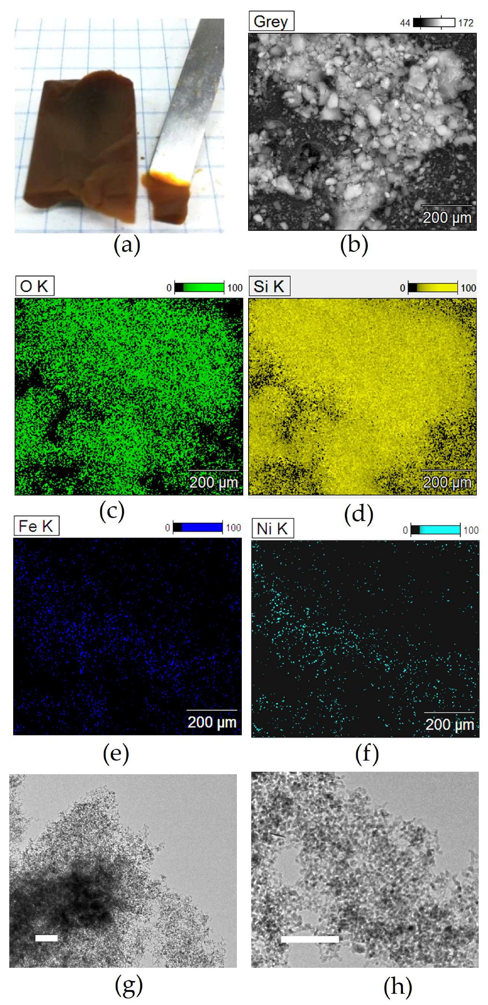 Molecules 29 02223 g003 Molecules 29 02223 g003