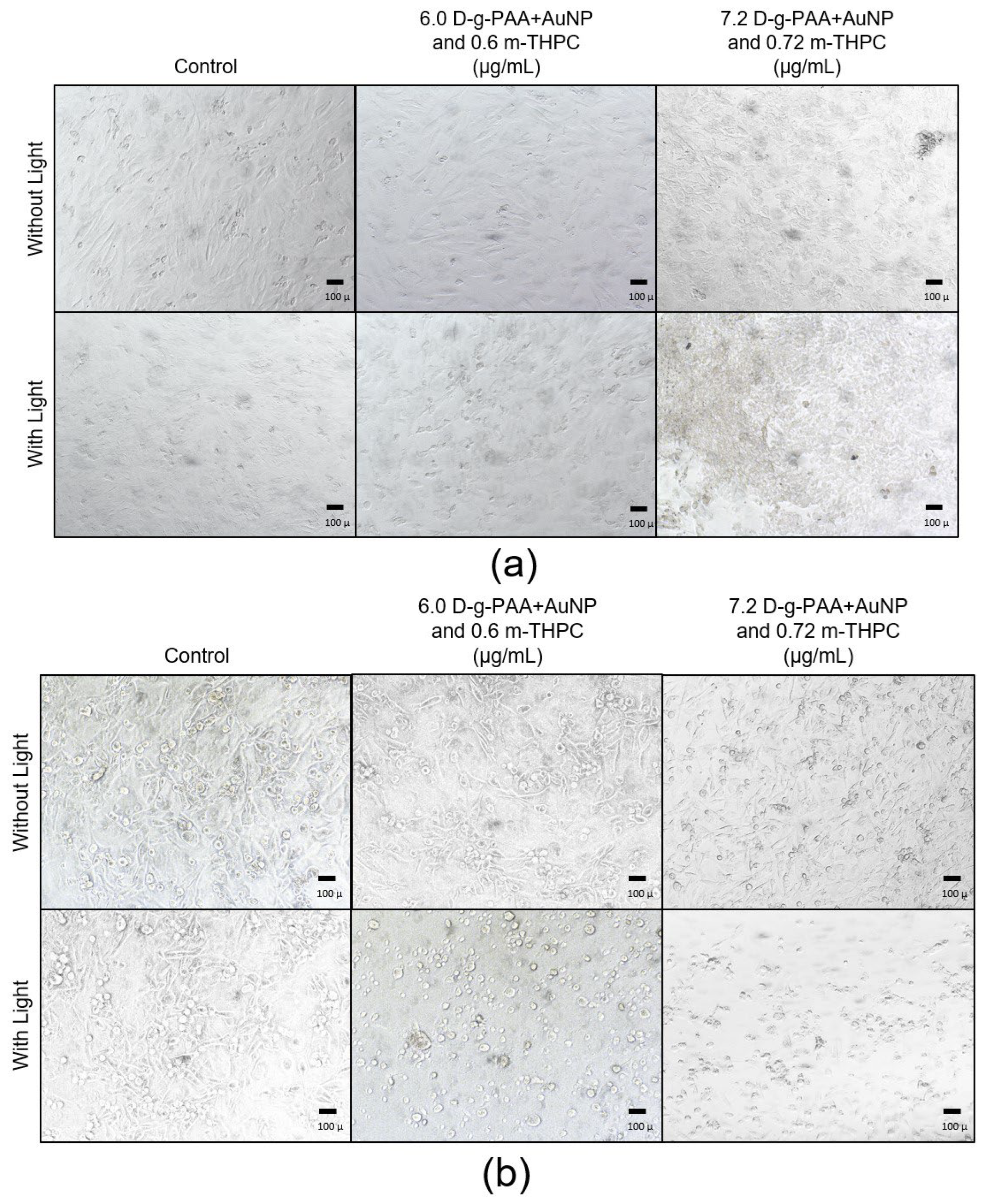 Molecules 29 02224 g006