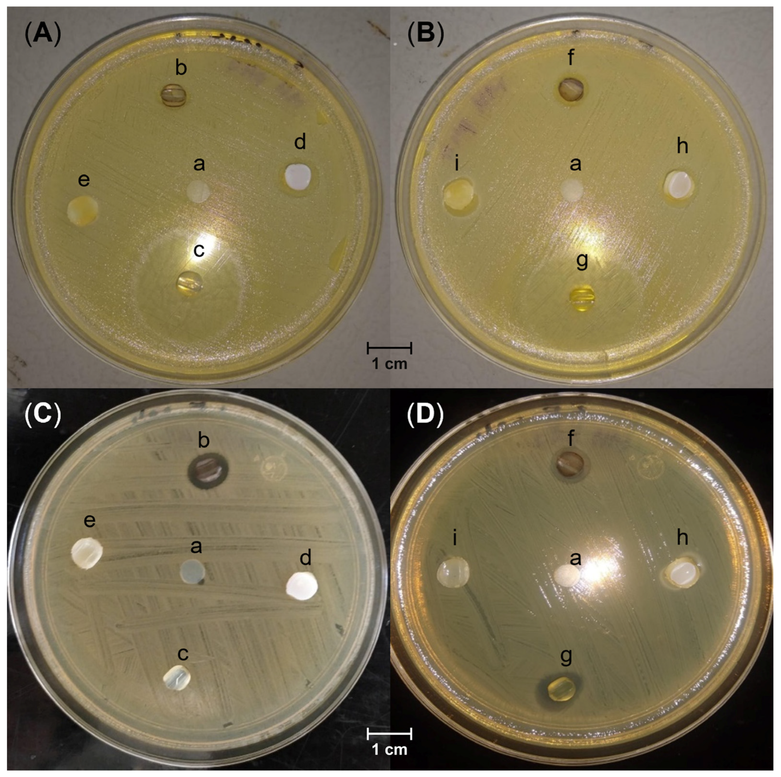 Molecules 29 02225 g008