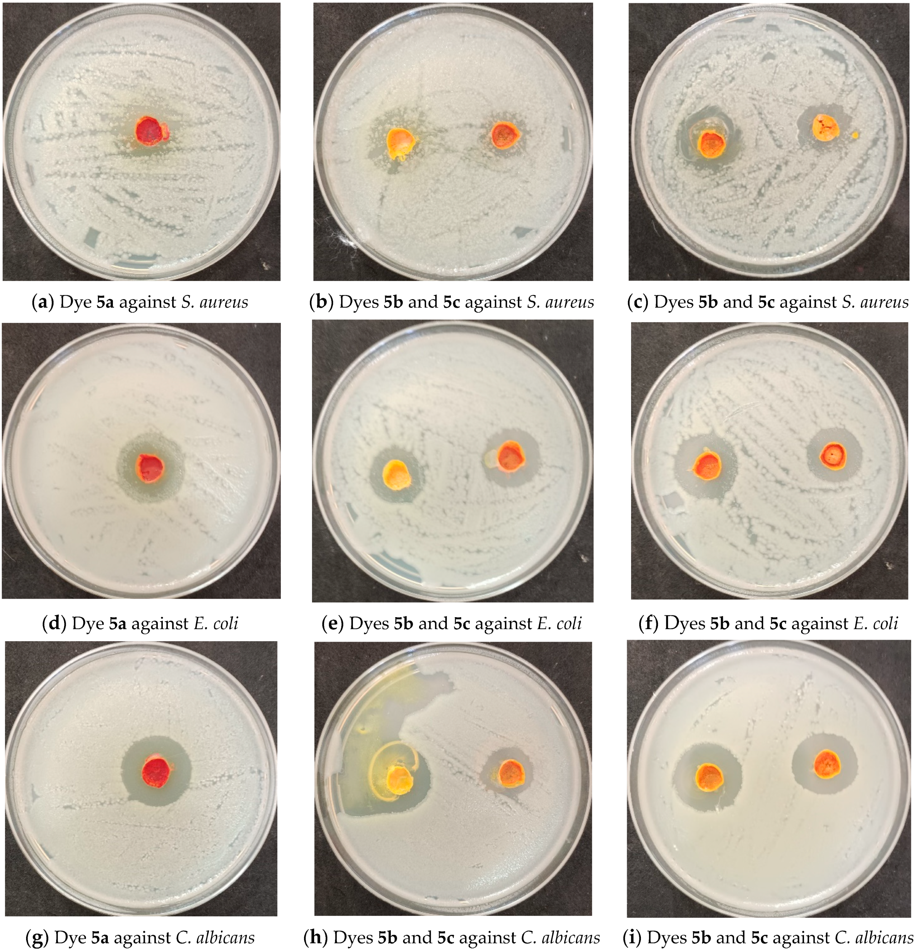 Molecules 29 02227 g005