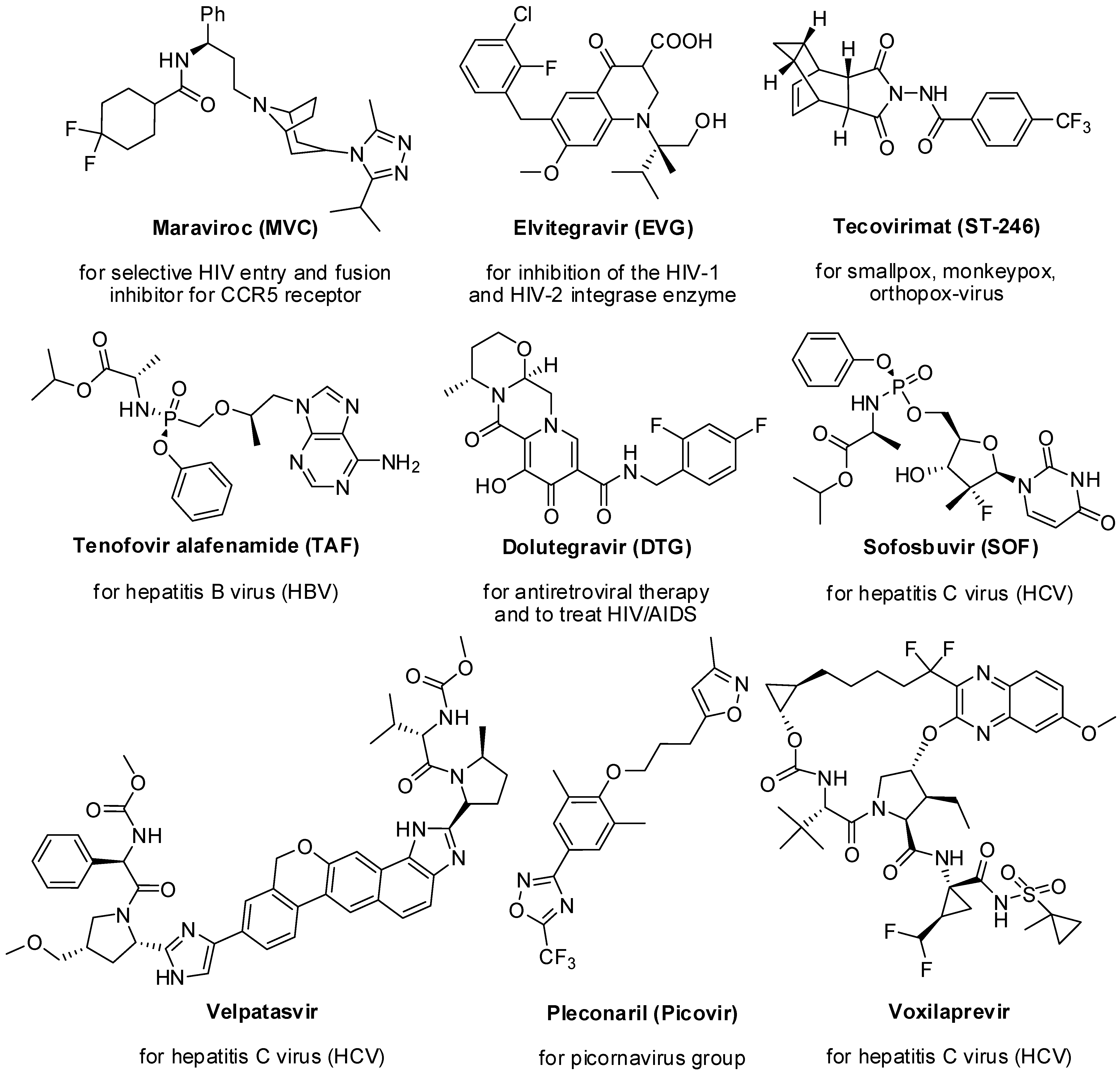 Molecules 29 02232 g001
