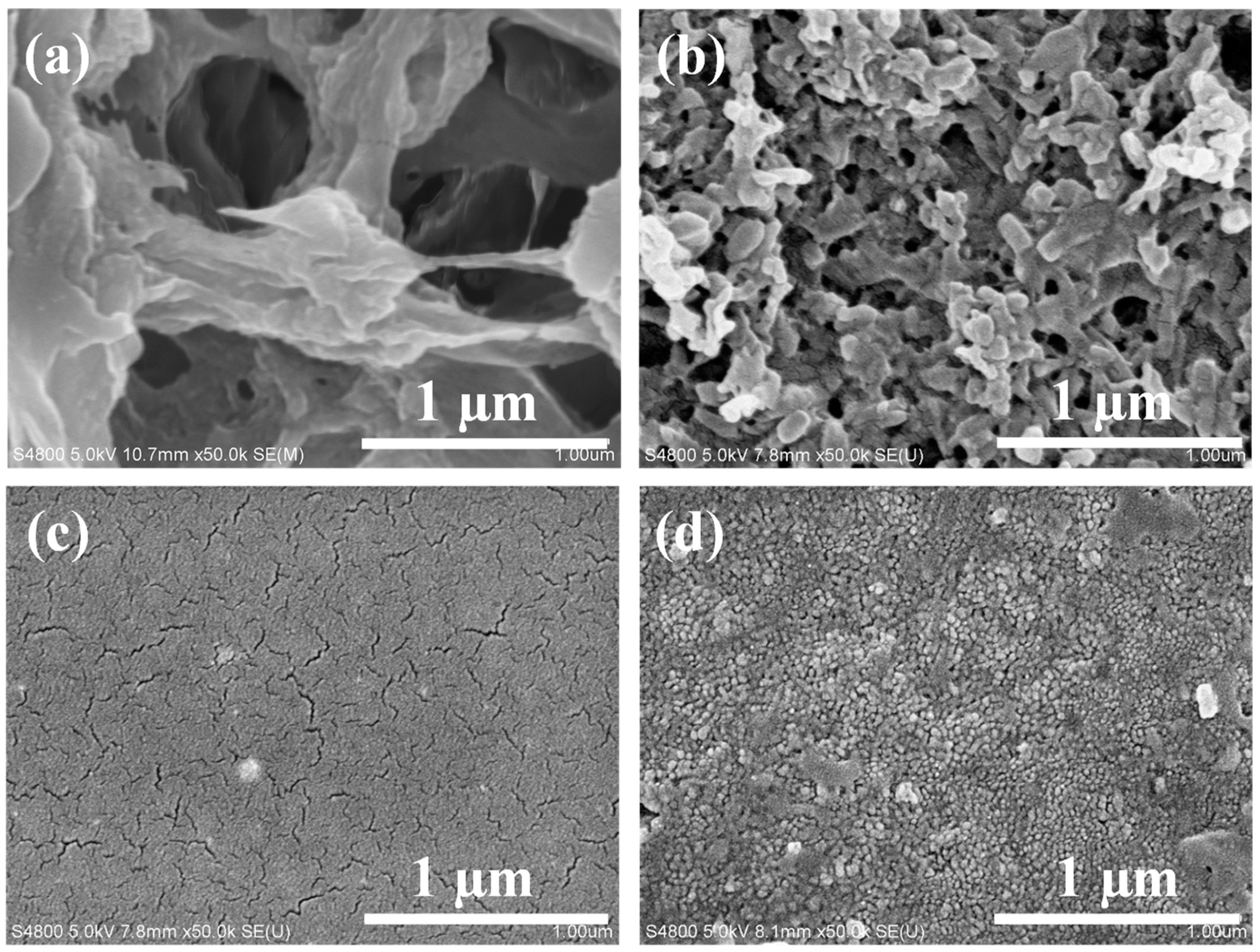 Molecules 29 02246 g002