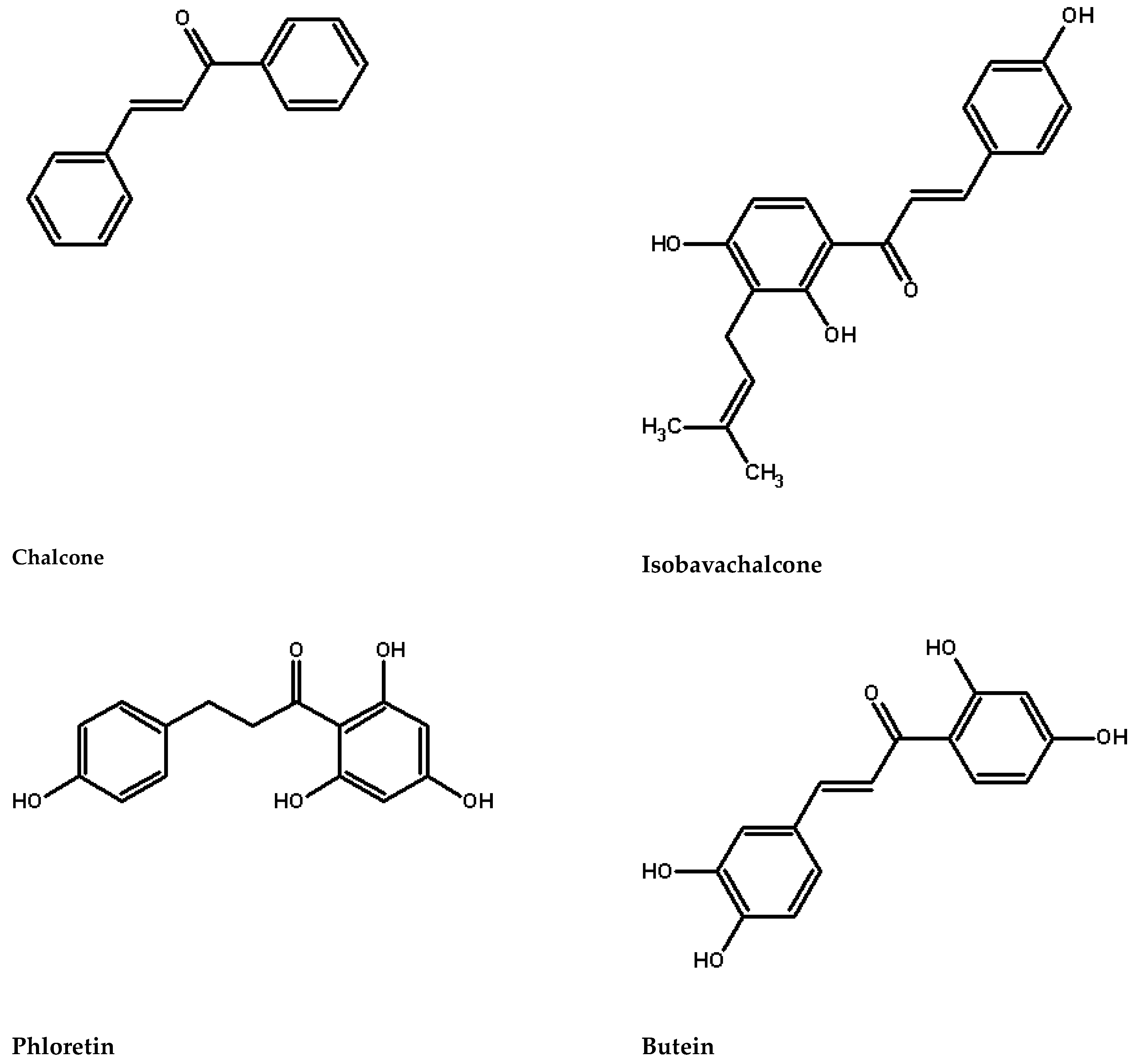 限定セール Chalcones—Features, Identification Techniques, Attributes その他