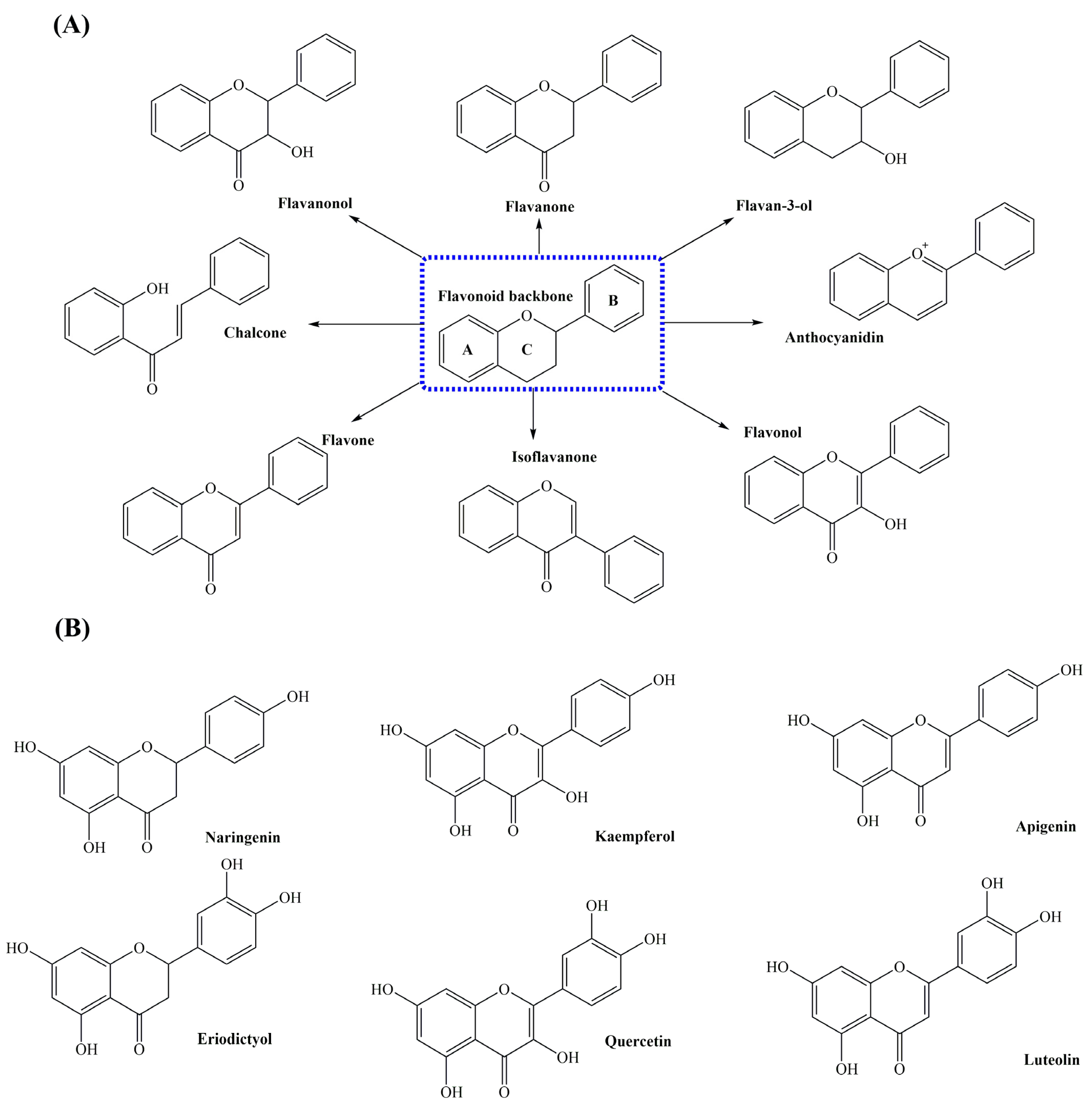 Molecules 29 02252 g001