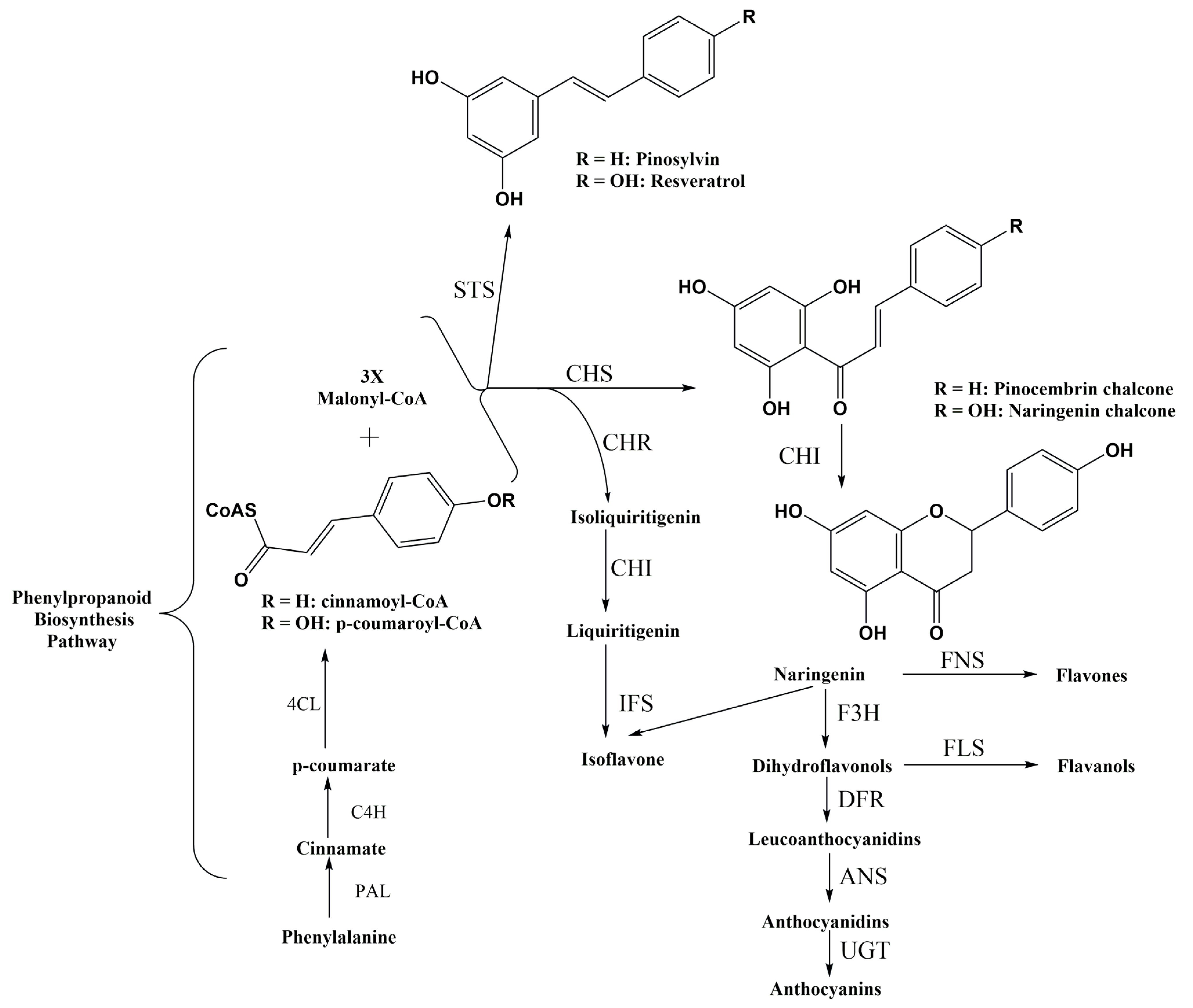Molecules 29 02252 g002