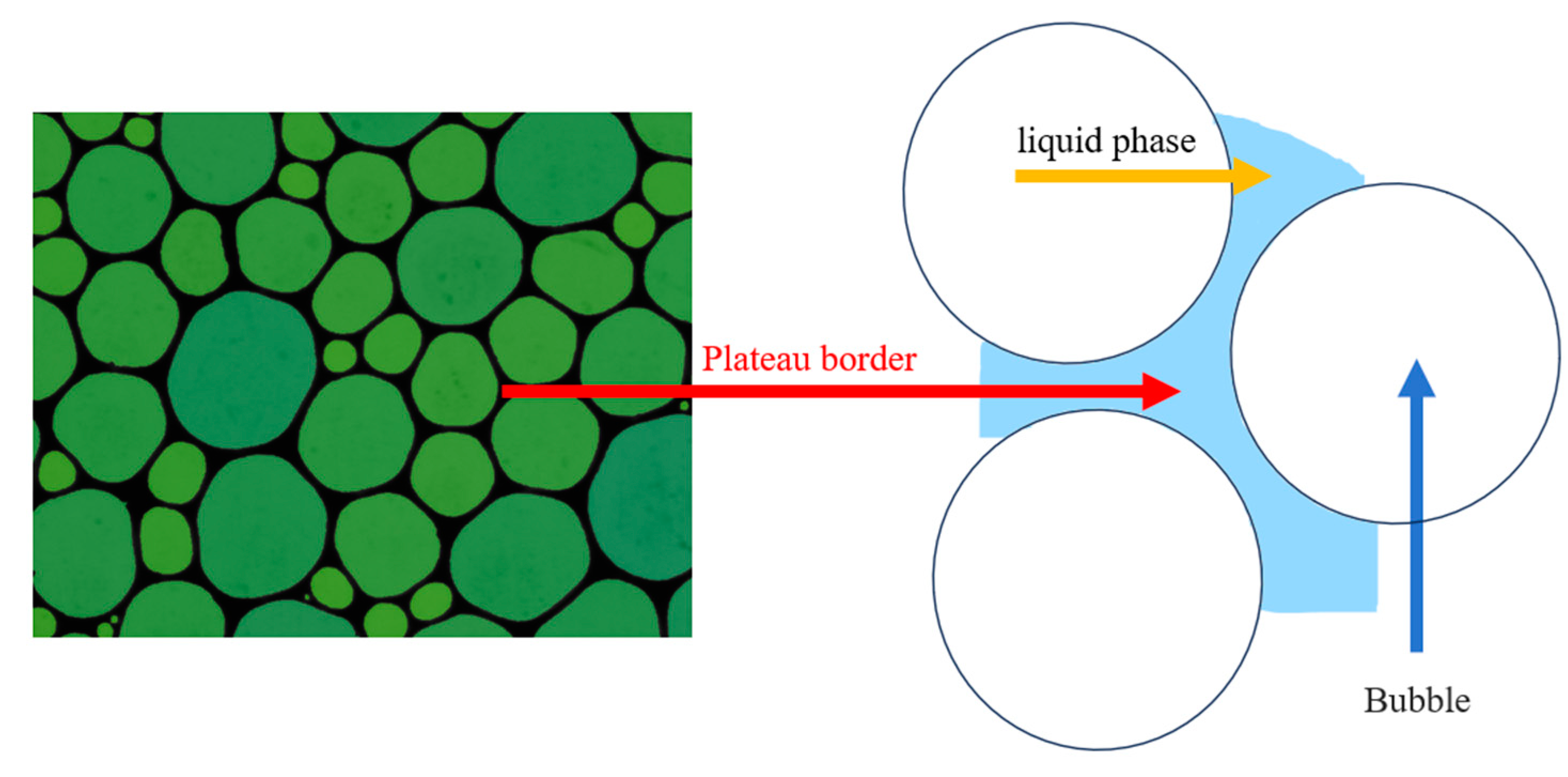 Molecules 29 02256 g007