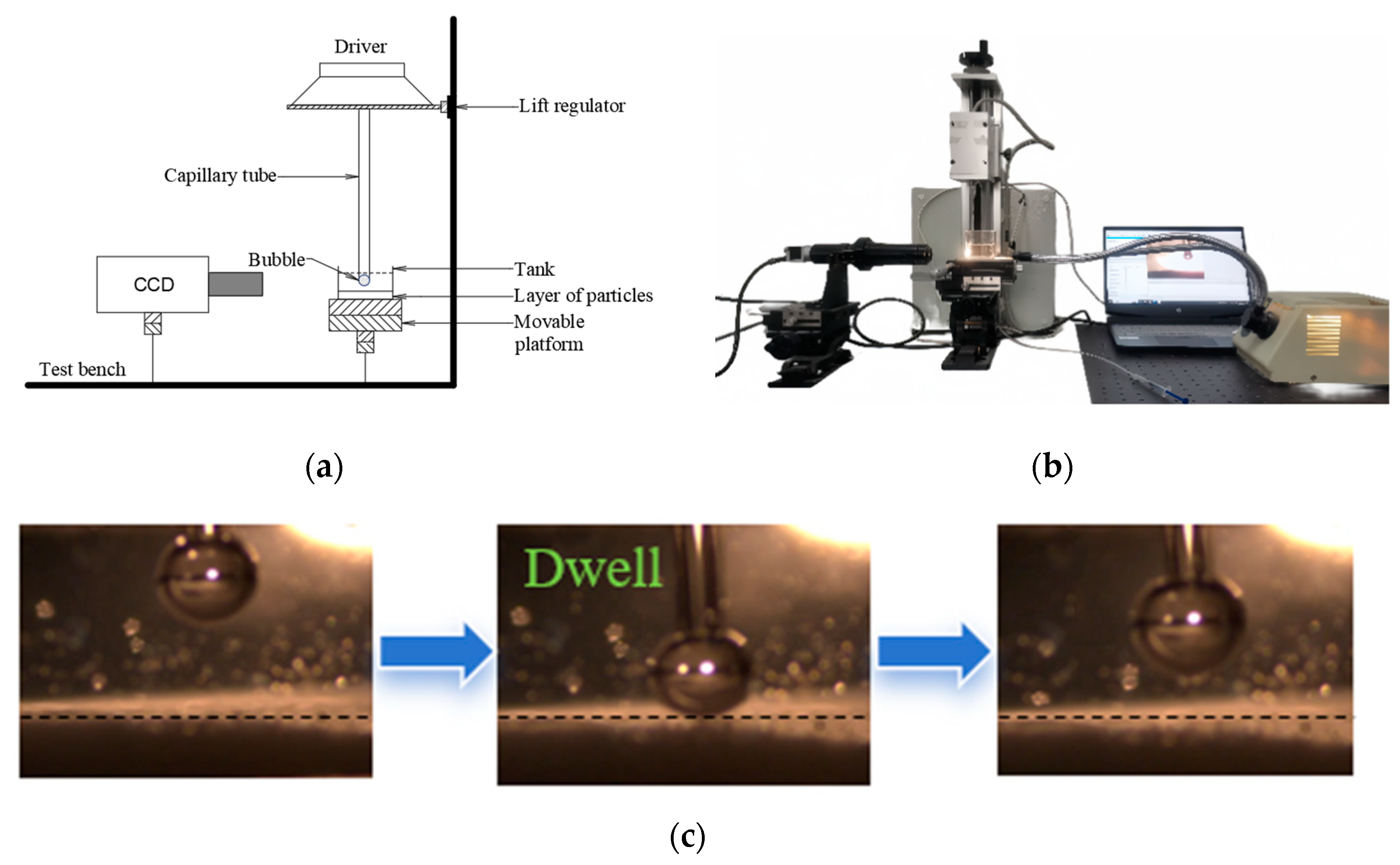 Molecules 29 02256 g012