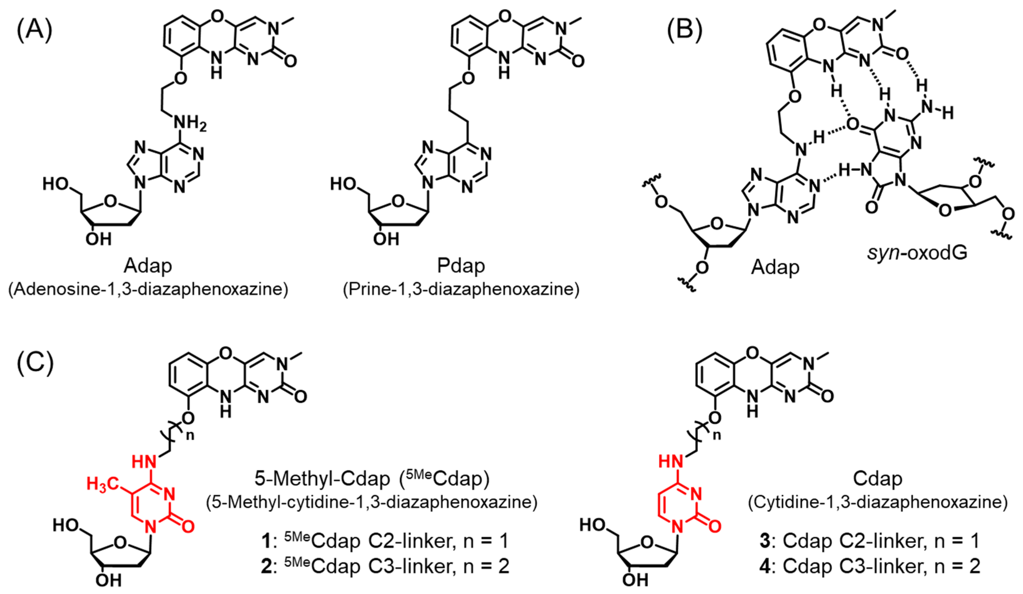 Molecules 29 02270 g001 Molecules 29 02270 g001