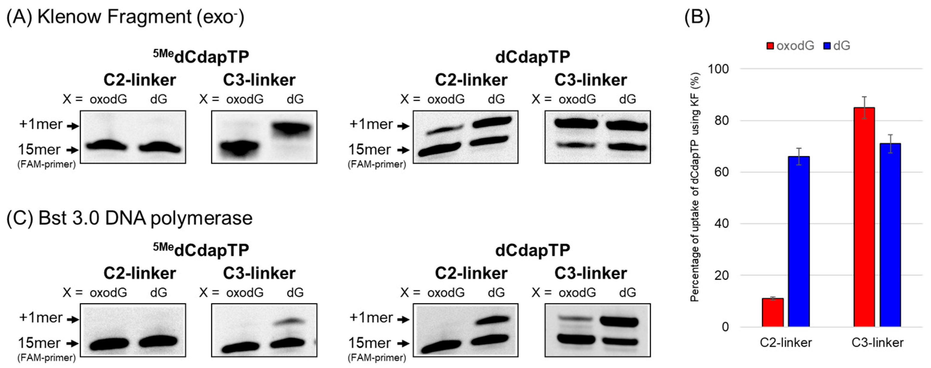 Molecules 29 02270 g002 Molecules 29 02270 g002