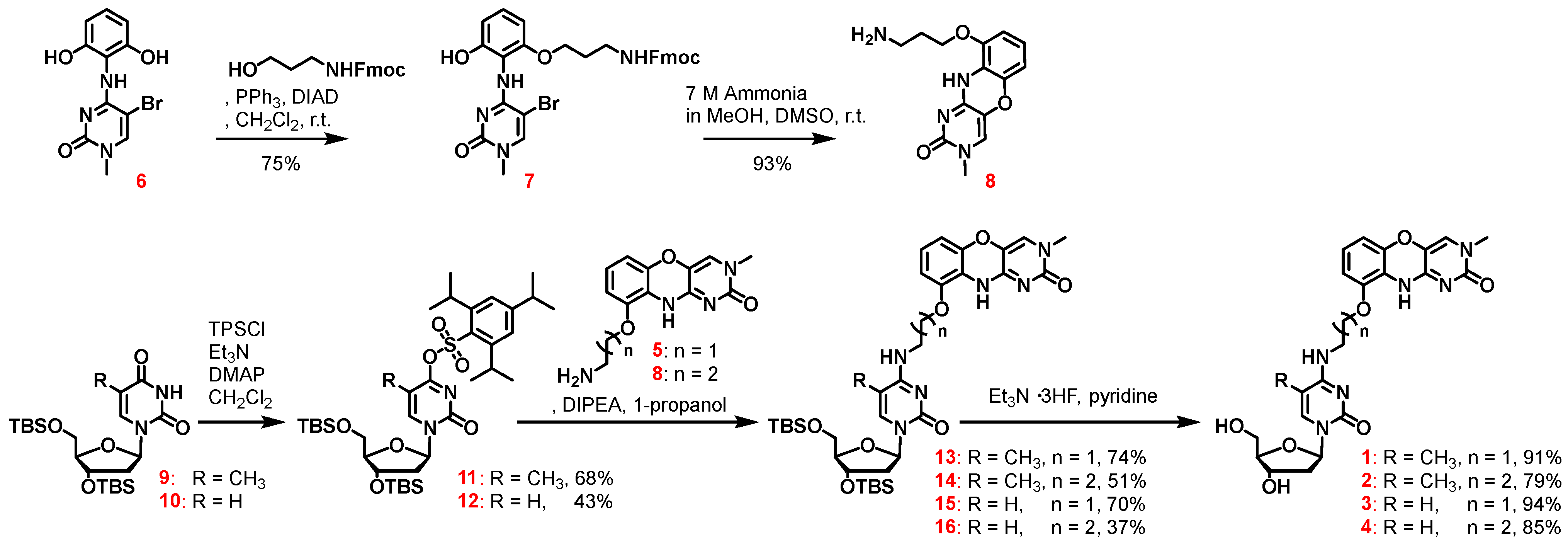 Molecules 29 02270 sch001 Molecules 29 02270 sch001