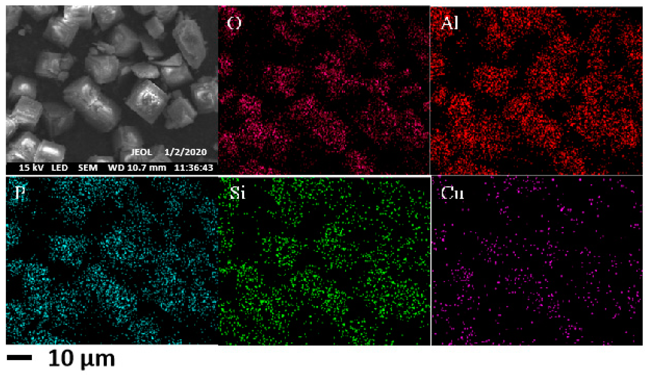 Molecules 29 02273 g009