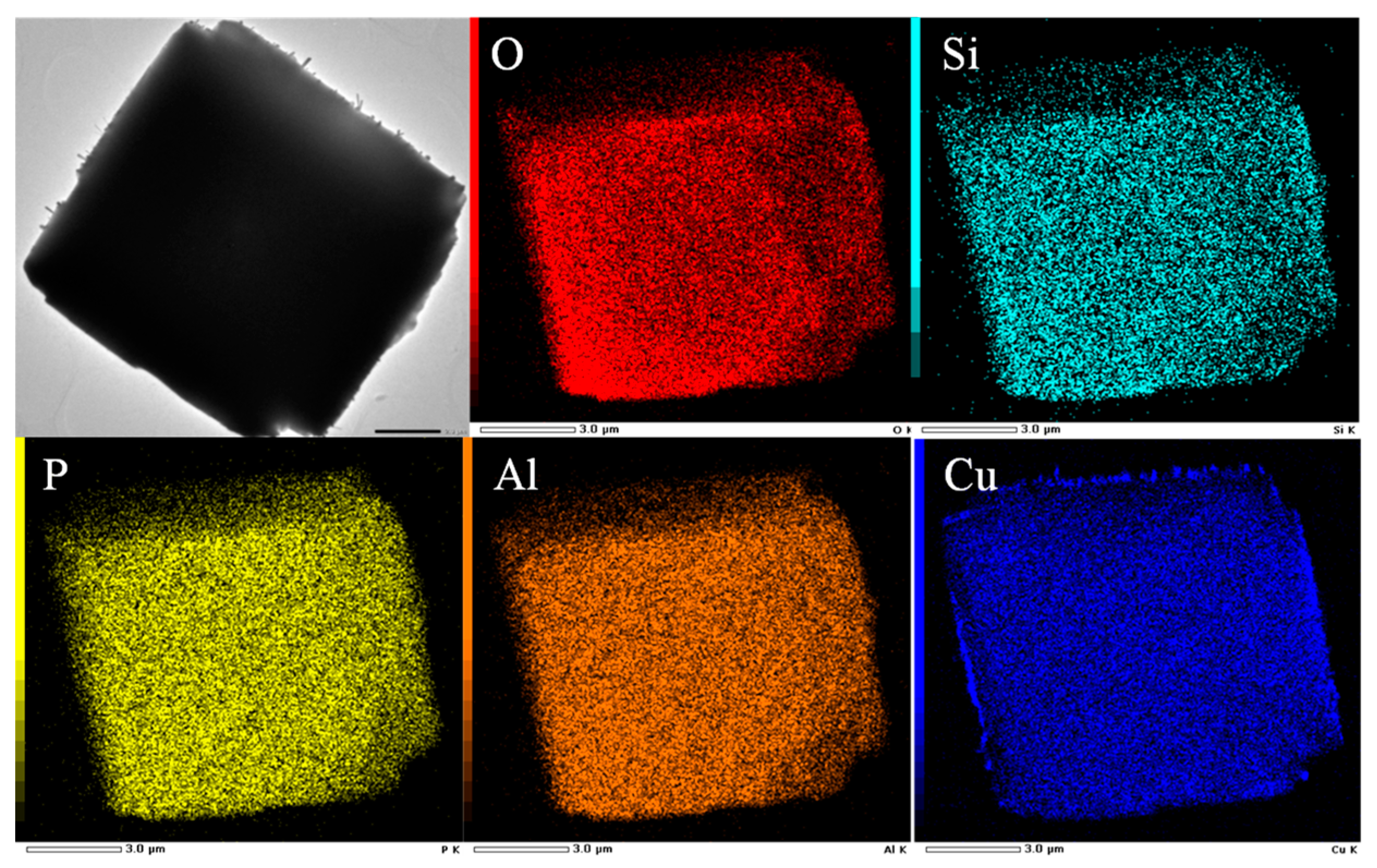 Molecules 29 02273 g010
